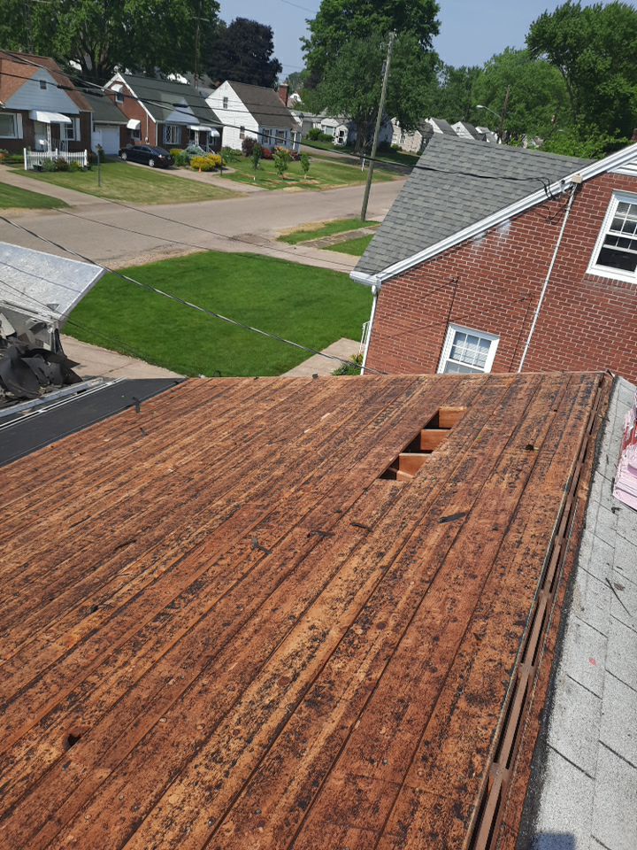 Lisa Rodak by Silver Leaf Contracting 