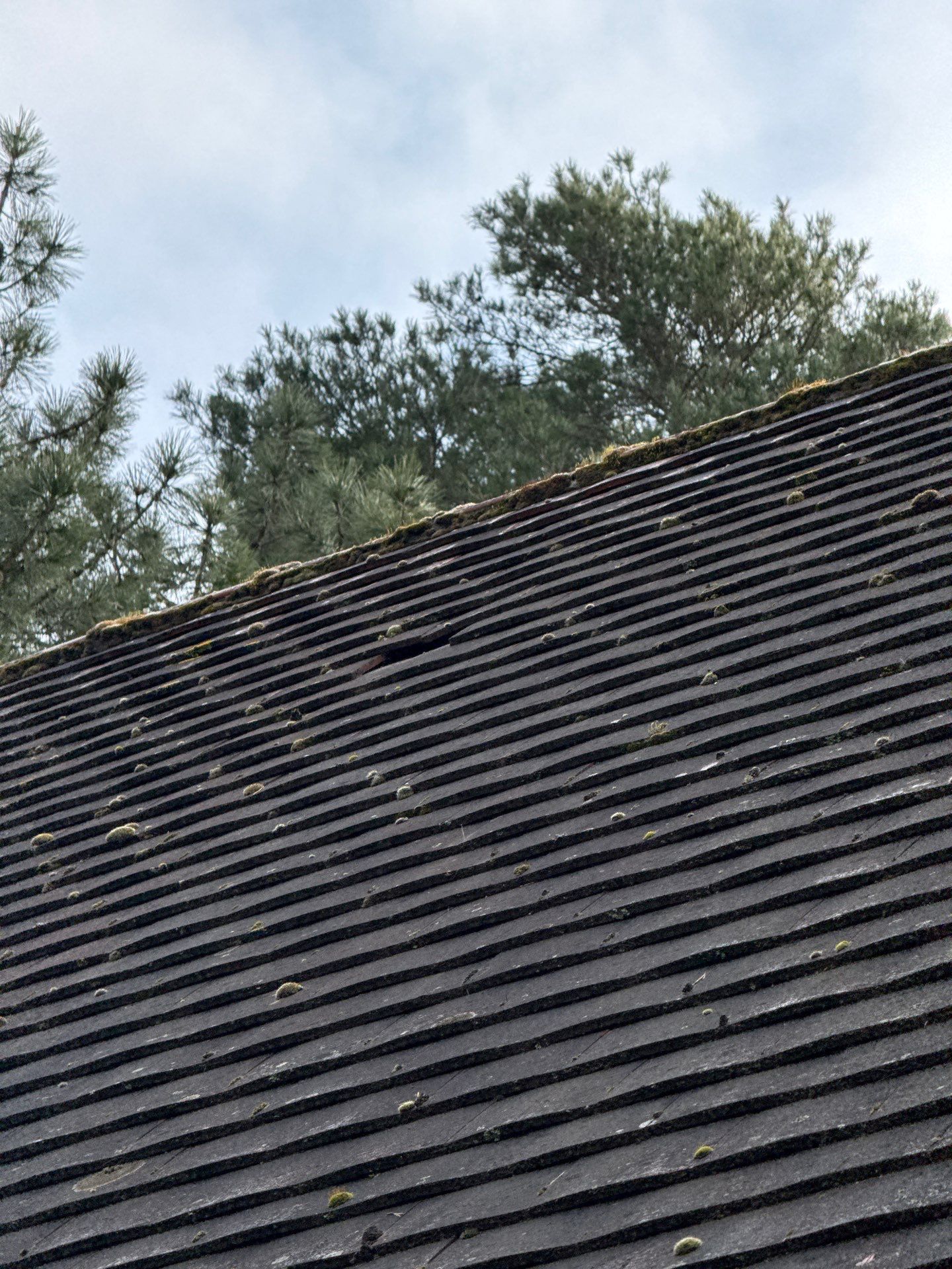 Roof Cleaning and Biocide Treatment using Softwash Equipment by Ges Exterior Cleaning ltd