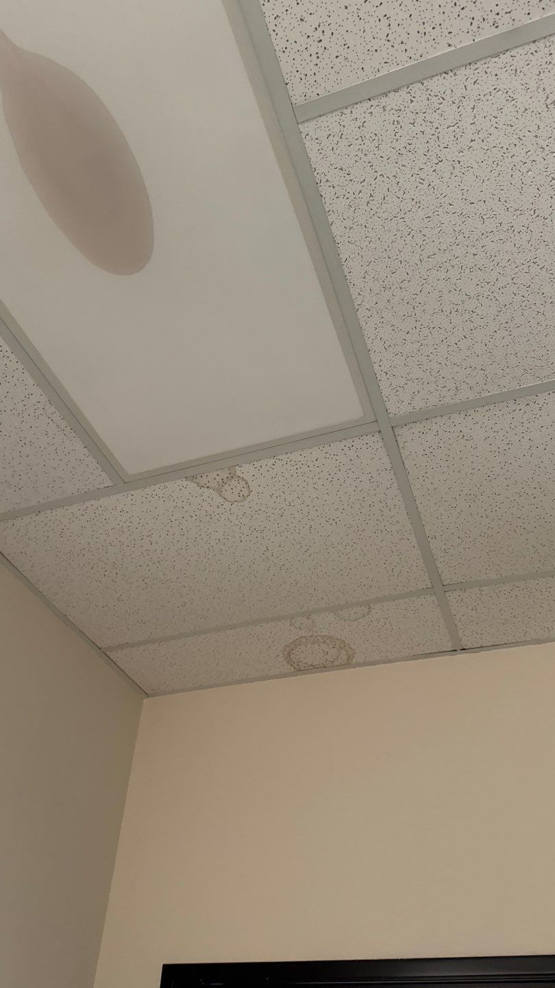 Project by NuLead Construction Inc by NuLead Construction Inc