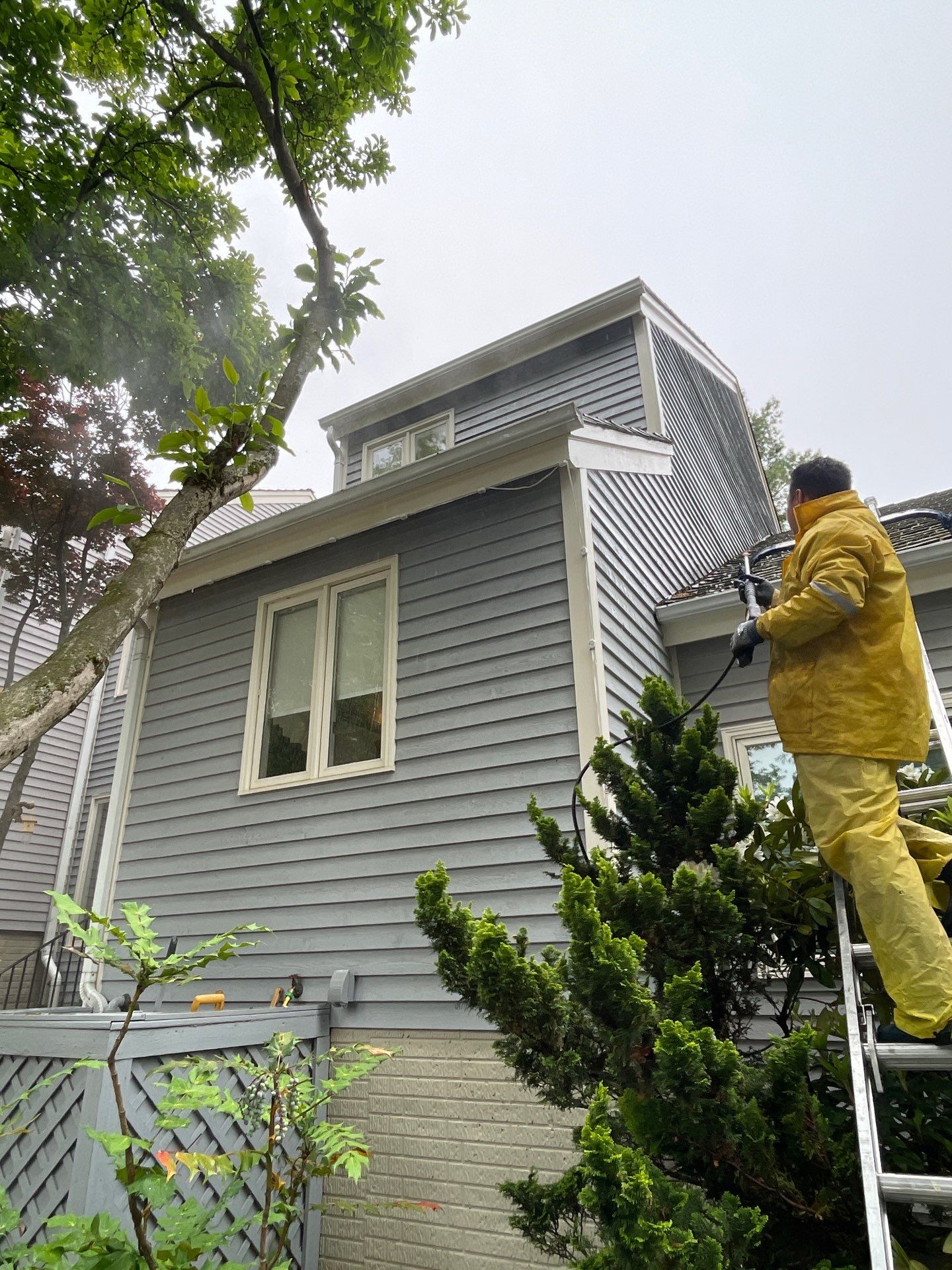Exterior Washing in Reston, VA by My Painter 