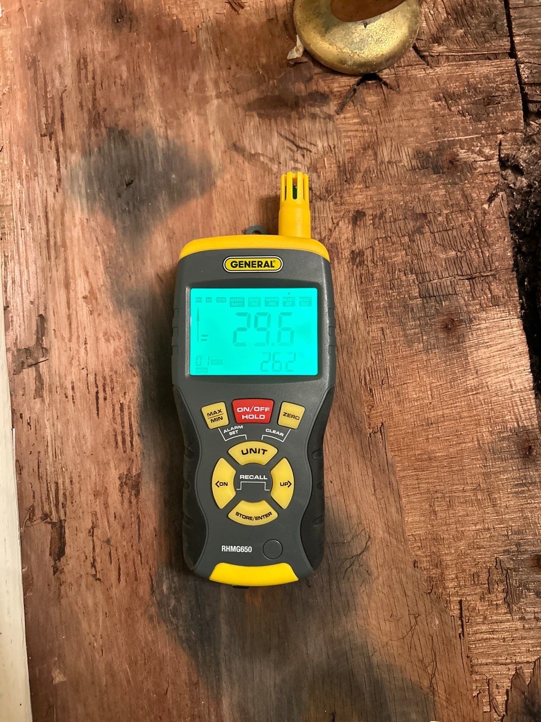 Mold Remediation by Accountable Home Services