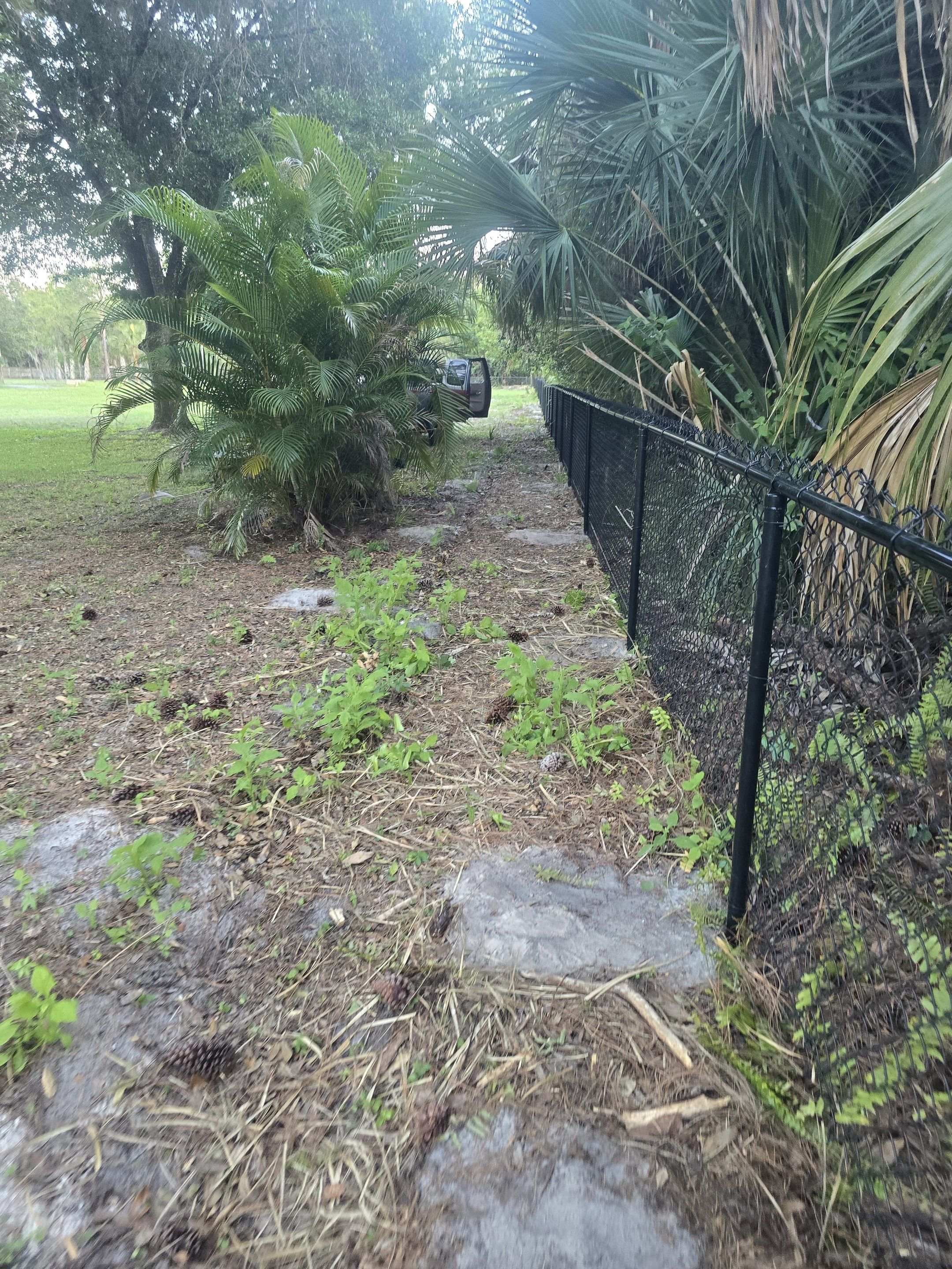 Chain Link Fence in Naples by True Fence LLC