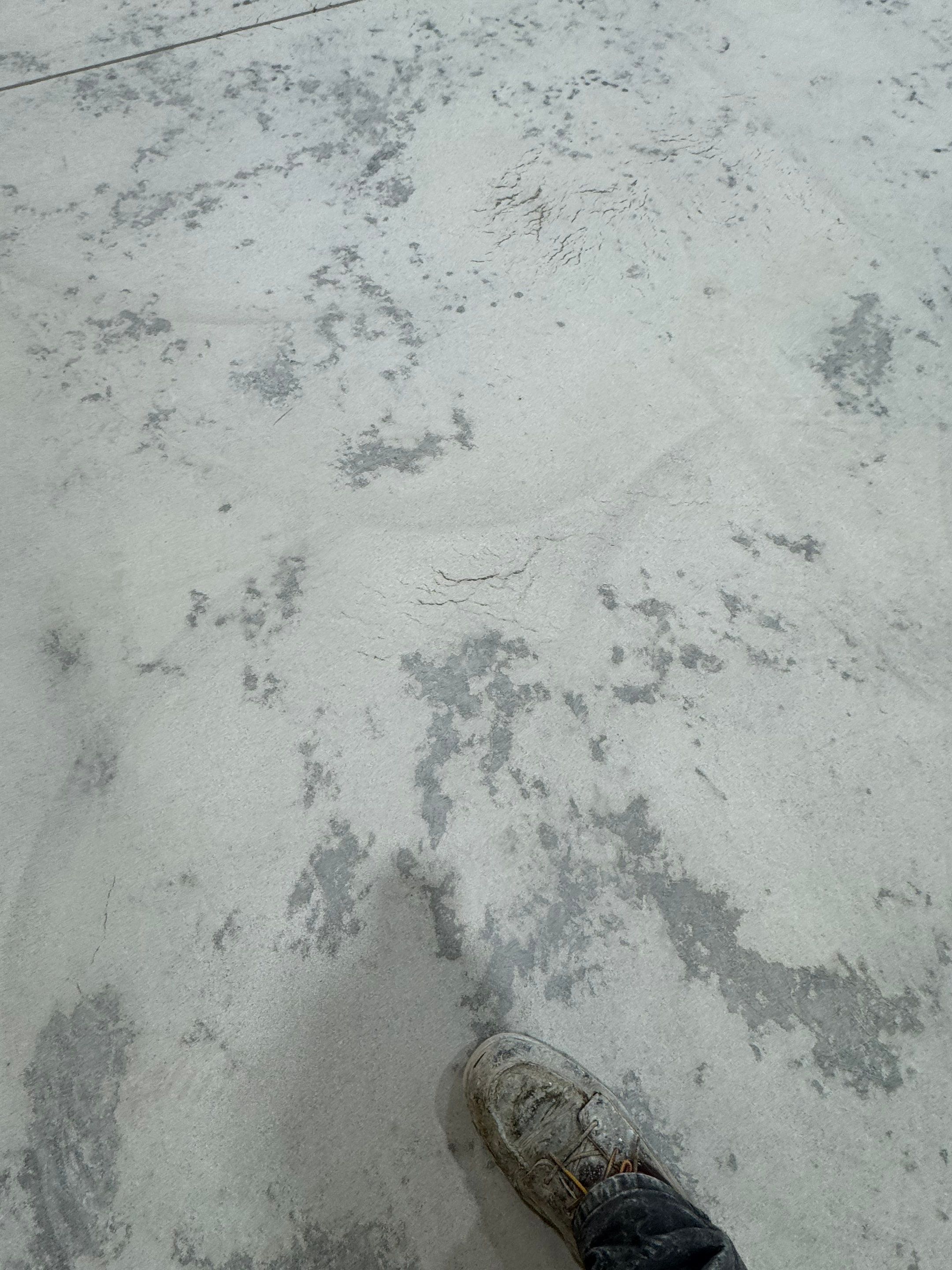 Commercial Workshop for Trucking Company by Endure Concrete Coatings