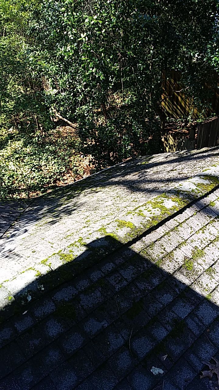 Resolving Leaks and Moss Growth by Georgia Roof Advisors
