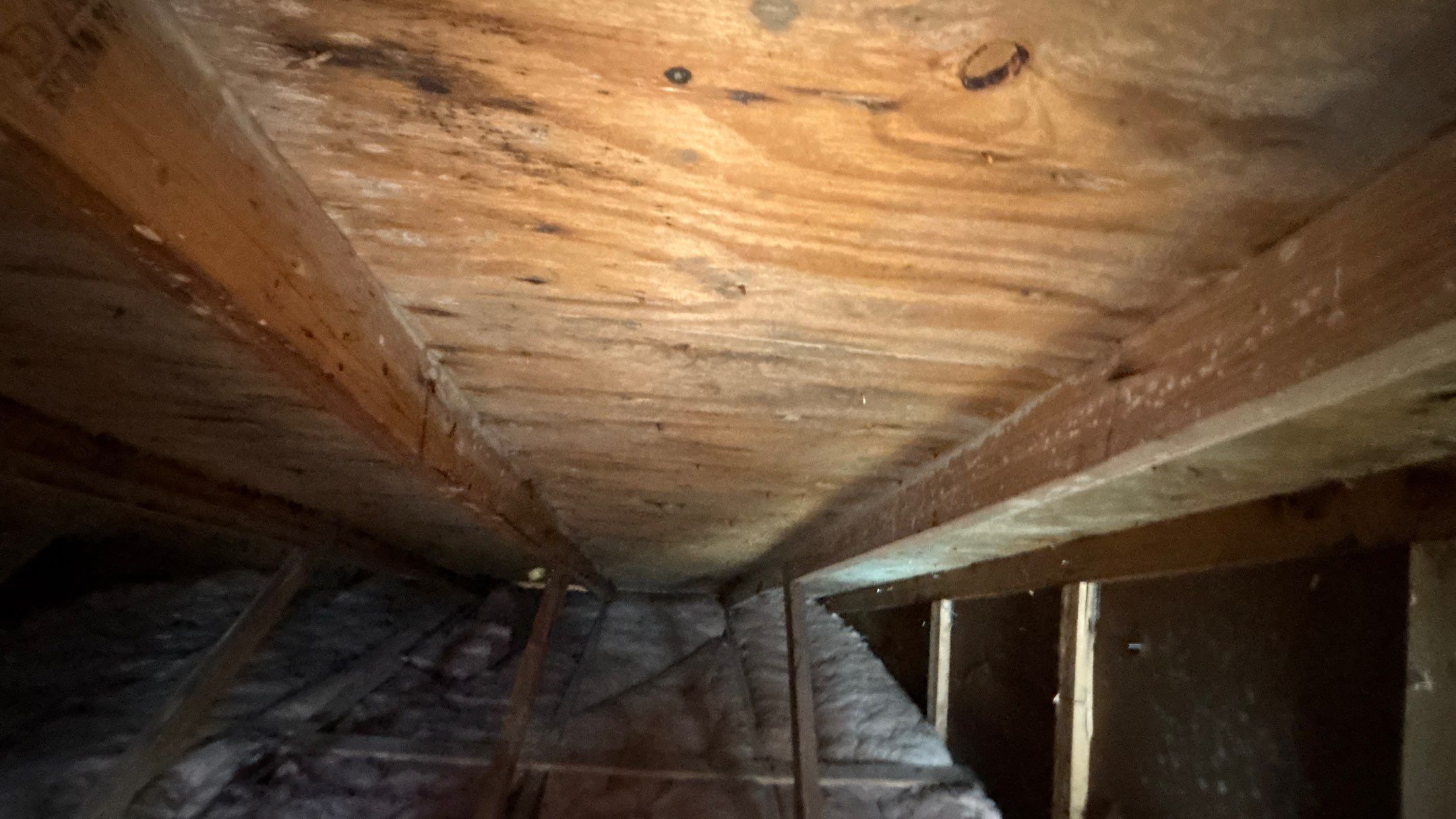 Roof Replacement using Owens Corning Summer Harvest by 180 Contractors