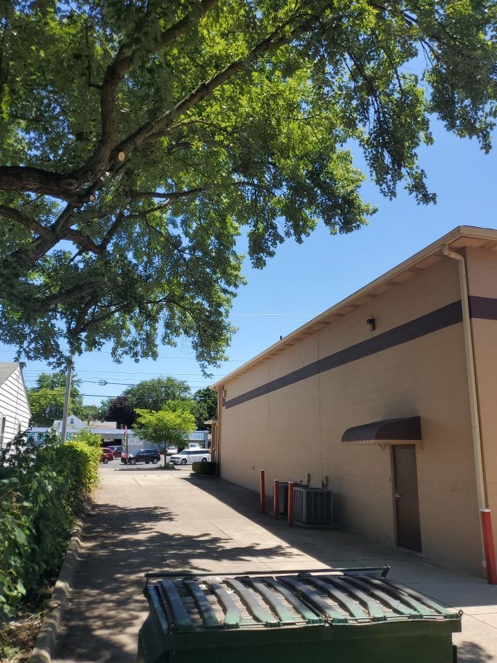 Tree Trimming using Tree Pruing by Mike Jones & Sons Tree Service LLC 