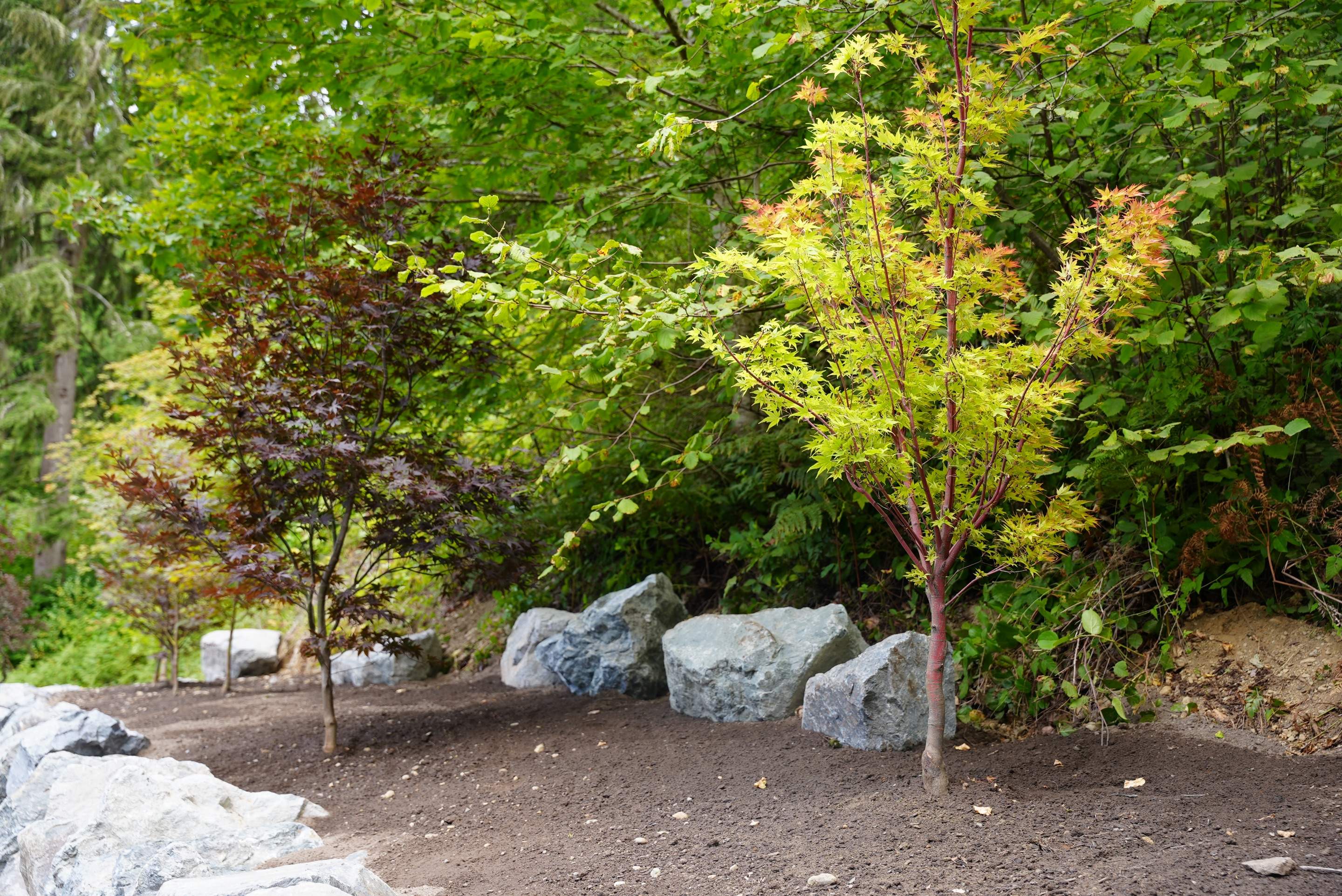 Jim | Rockery Wall, Landscaping, Road Repair & Sealcoating by Jireh Asphalt & Concrete Inc 