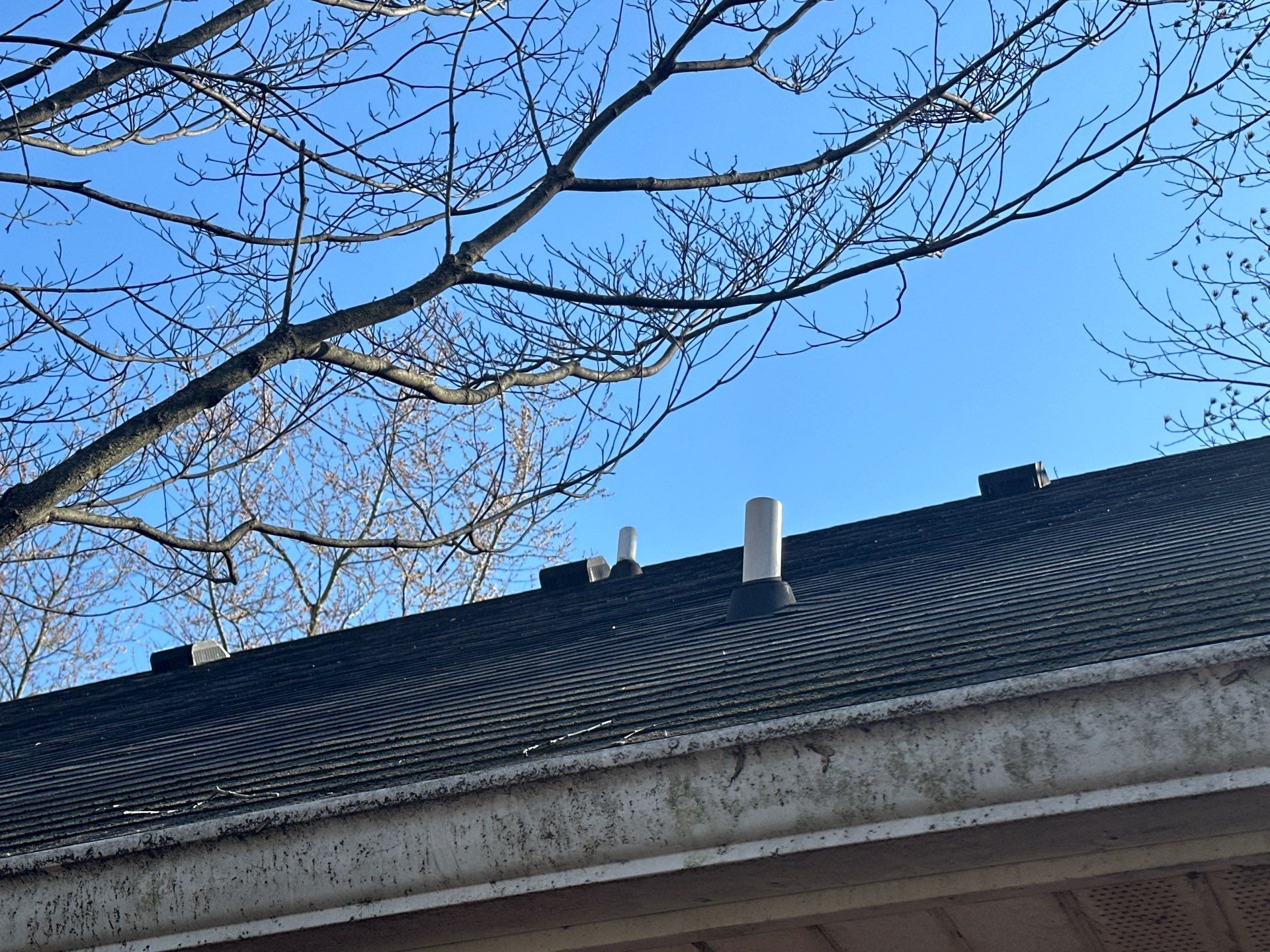 Exposed Fastener Metal Roof Replacement in Noblesville, IN by 4Ever Metal Roofing