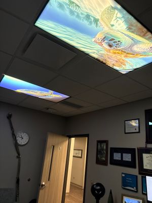 4x2 LED Troffer Grid Light Replacement