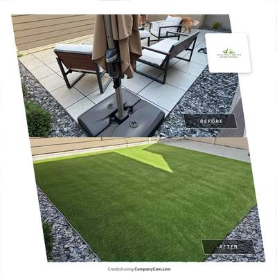 Backyard Paver to Turf Renovation