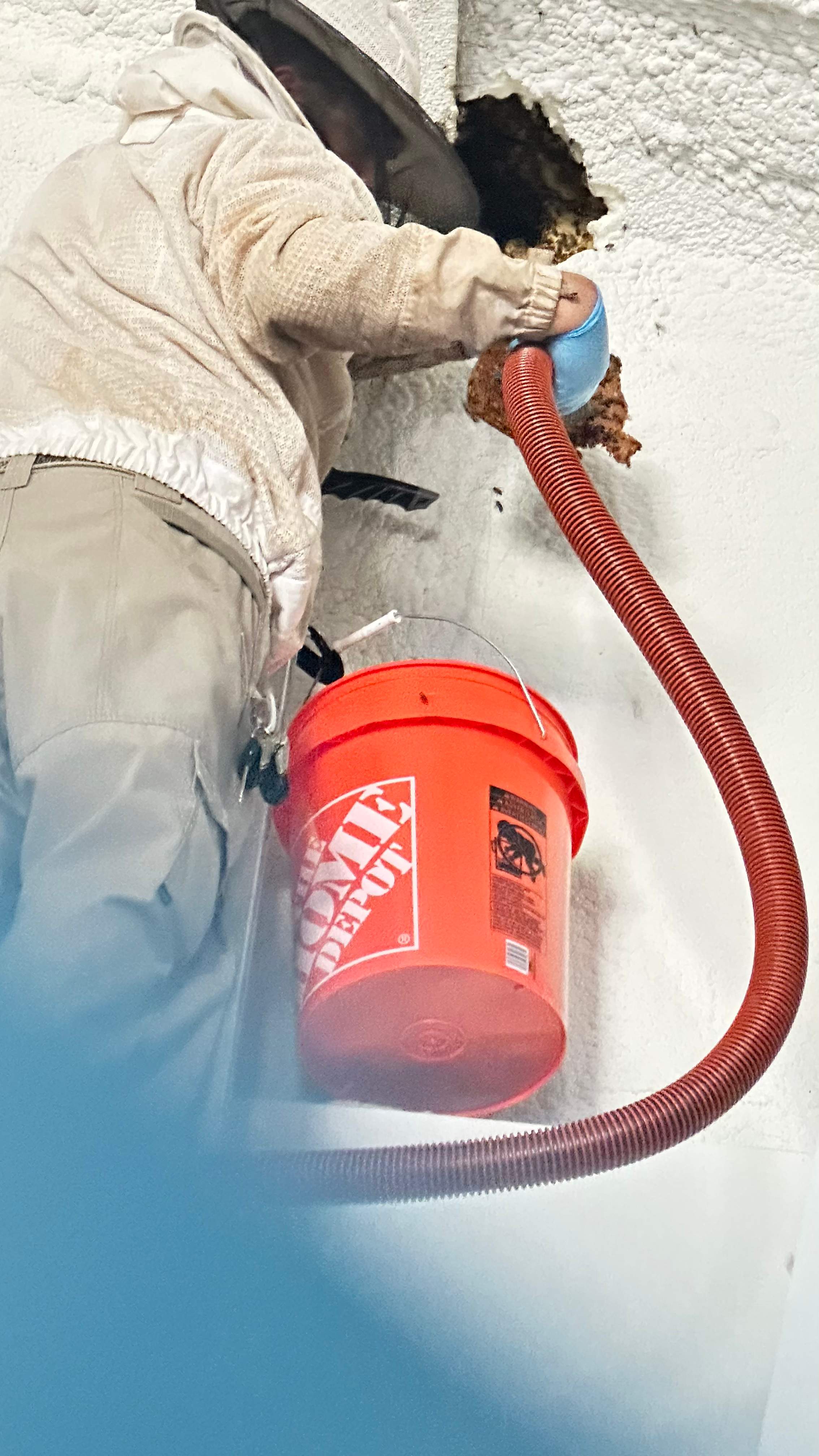 Art Gallery by Rockwall Honey Bee Company