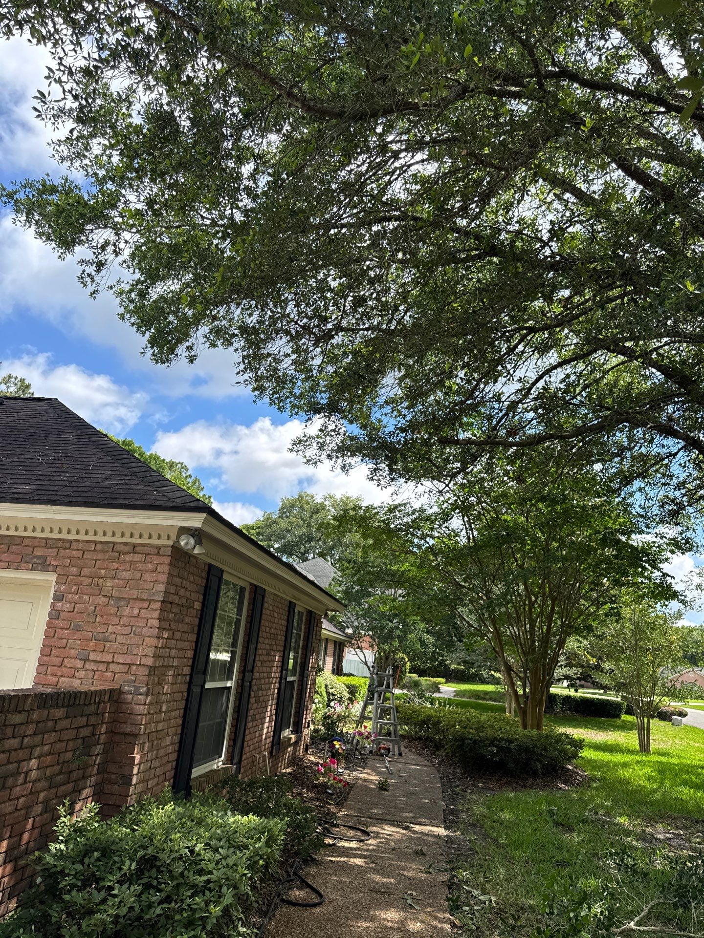 Deerwood Resident | Tree Trimming by ProGreen Services