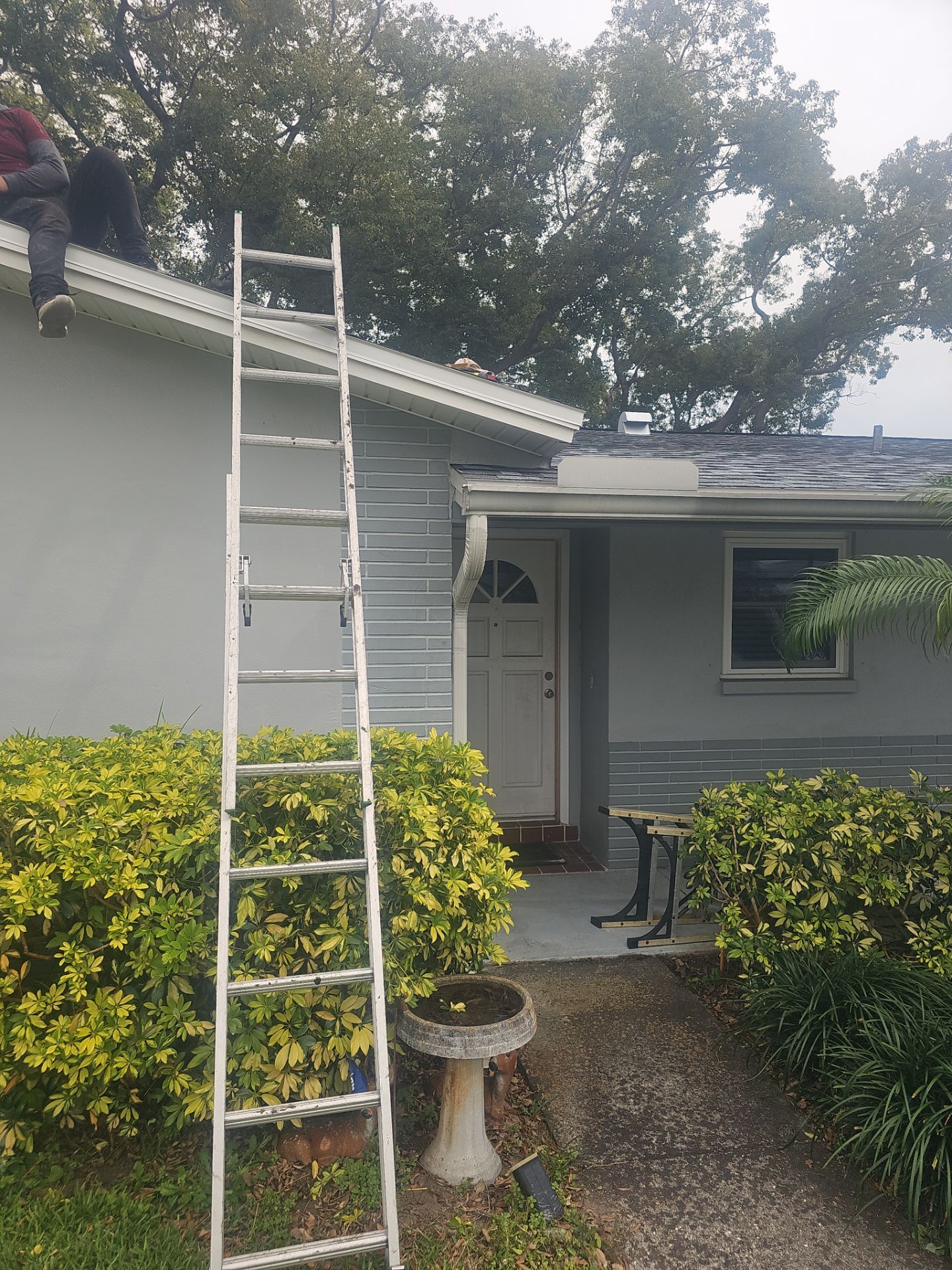 Project in Palm Harbor 34684 by Mitchell Roofing Company LLC