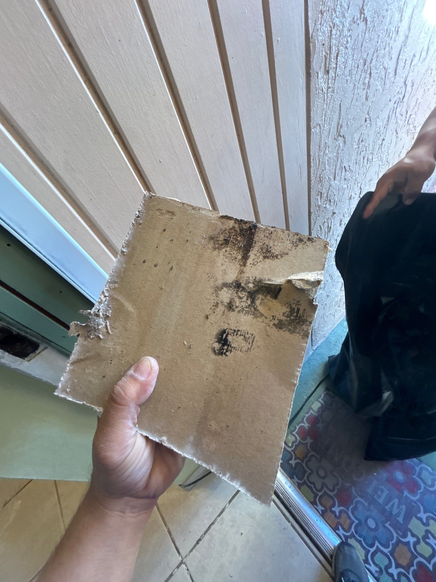 Pebble Springs Mold Remediation by Ampm Restoration Services