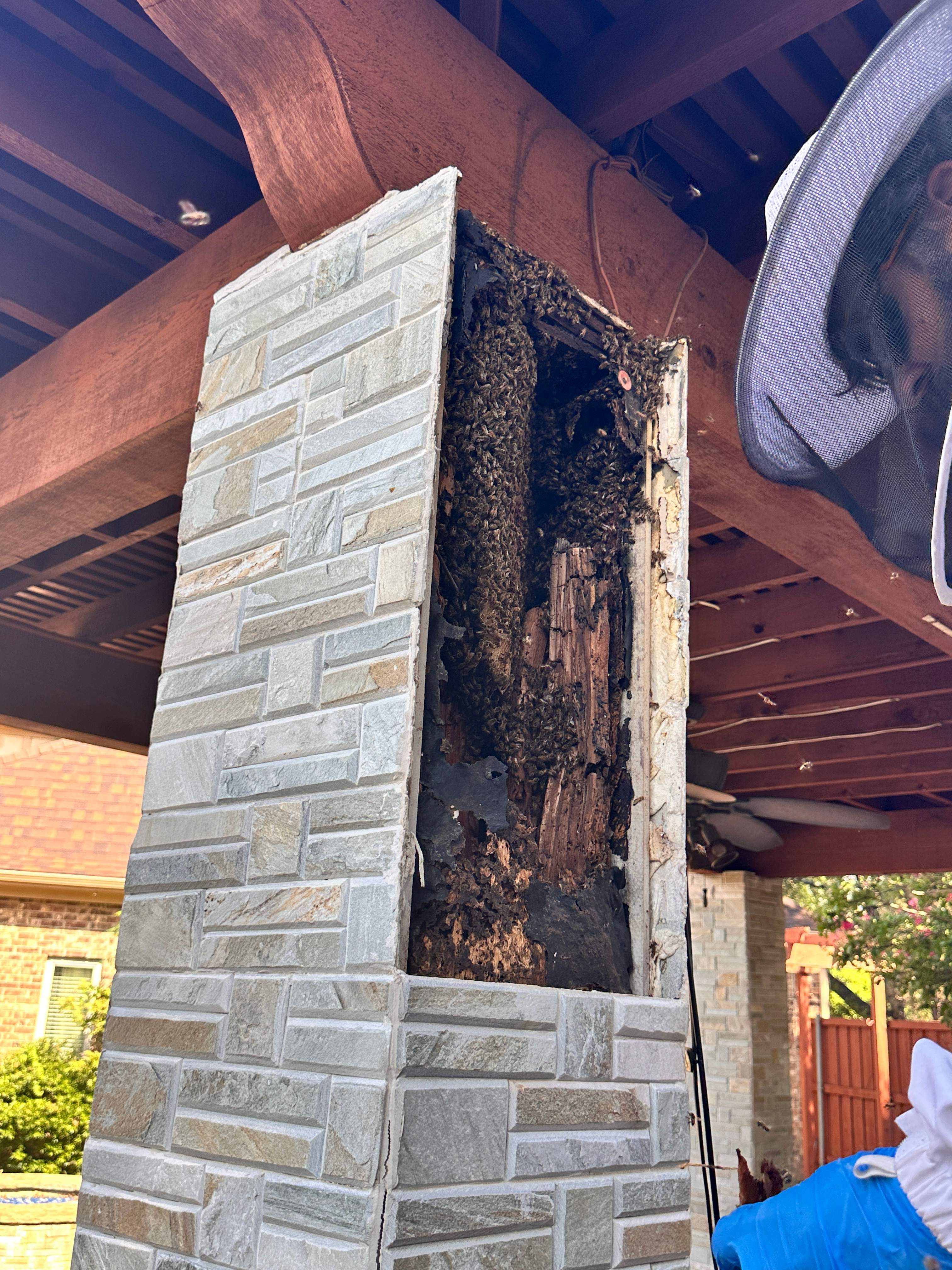 Scary Pergola by Rockwall Honey Bee Company