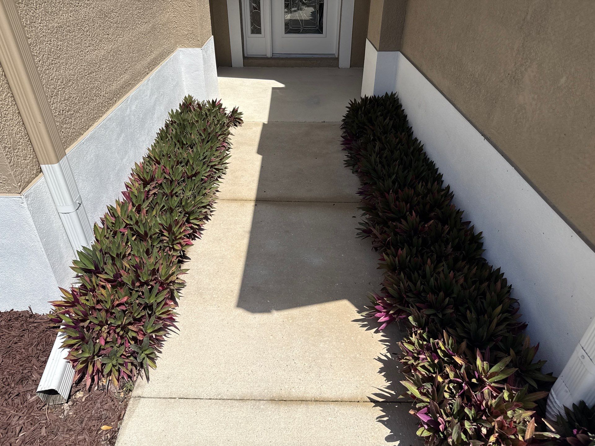Crystal Lakes Pool Cage, Driveway & Window Cleaning | Sunshine AquaWash | Palmetto, FL by Sunshine AquaWash