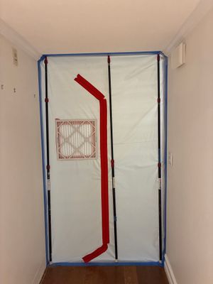 Mold Remediation — Naples, FL