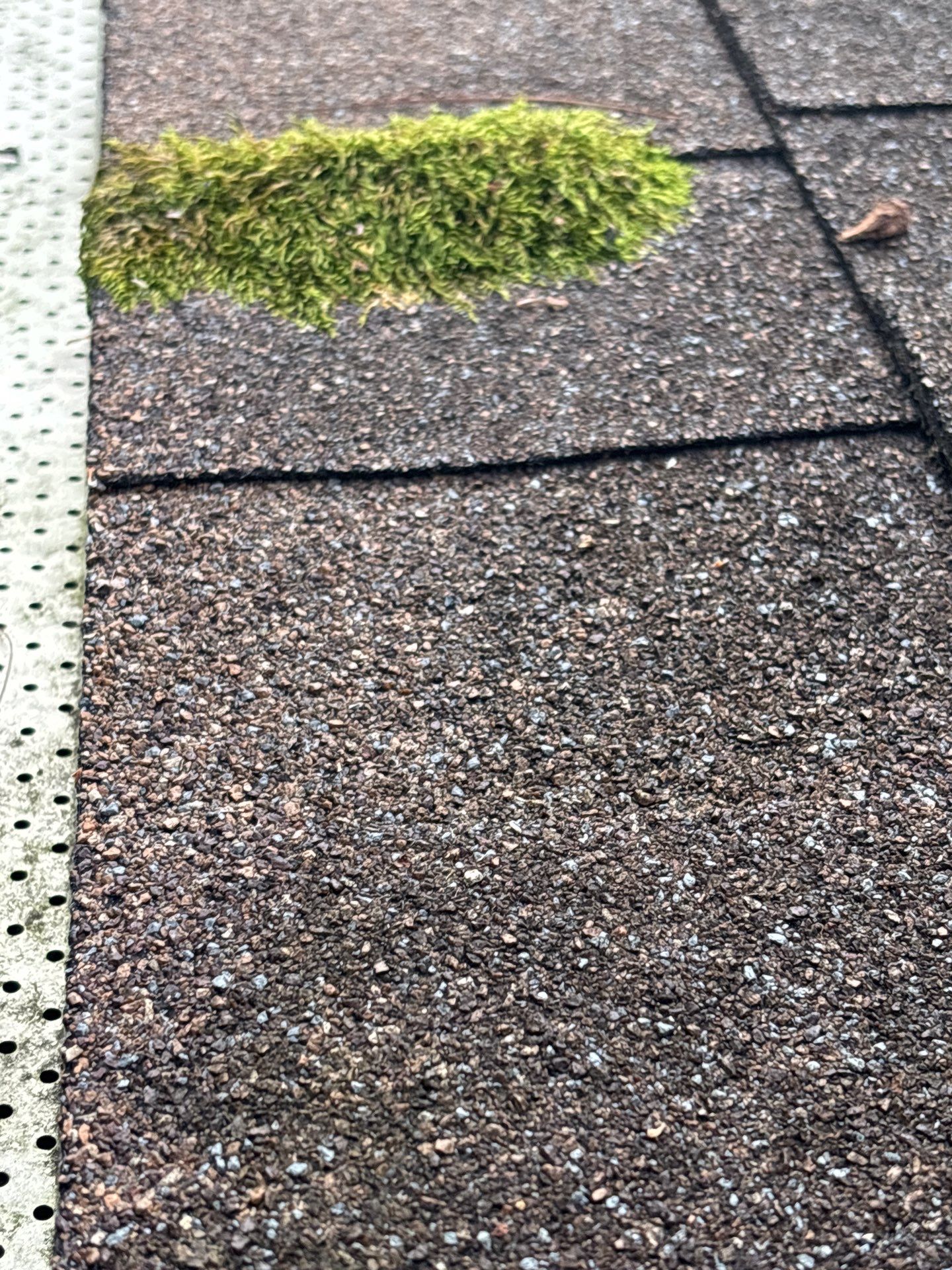 Project in Glen Allen by Roof Maxx of Midlothian