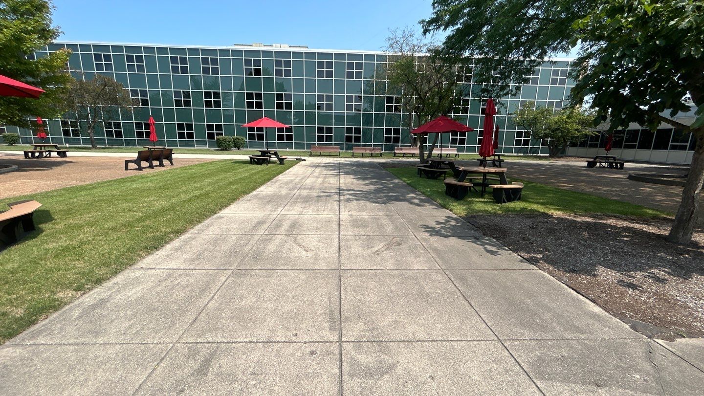 concrete using Algaecide, soft wash soap by Northern Power Washing LLC.