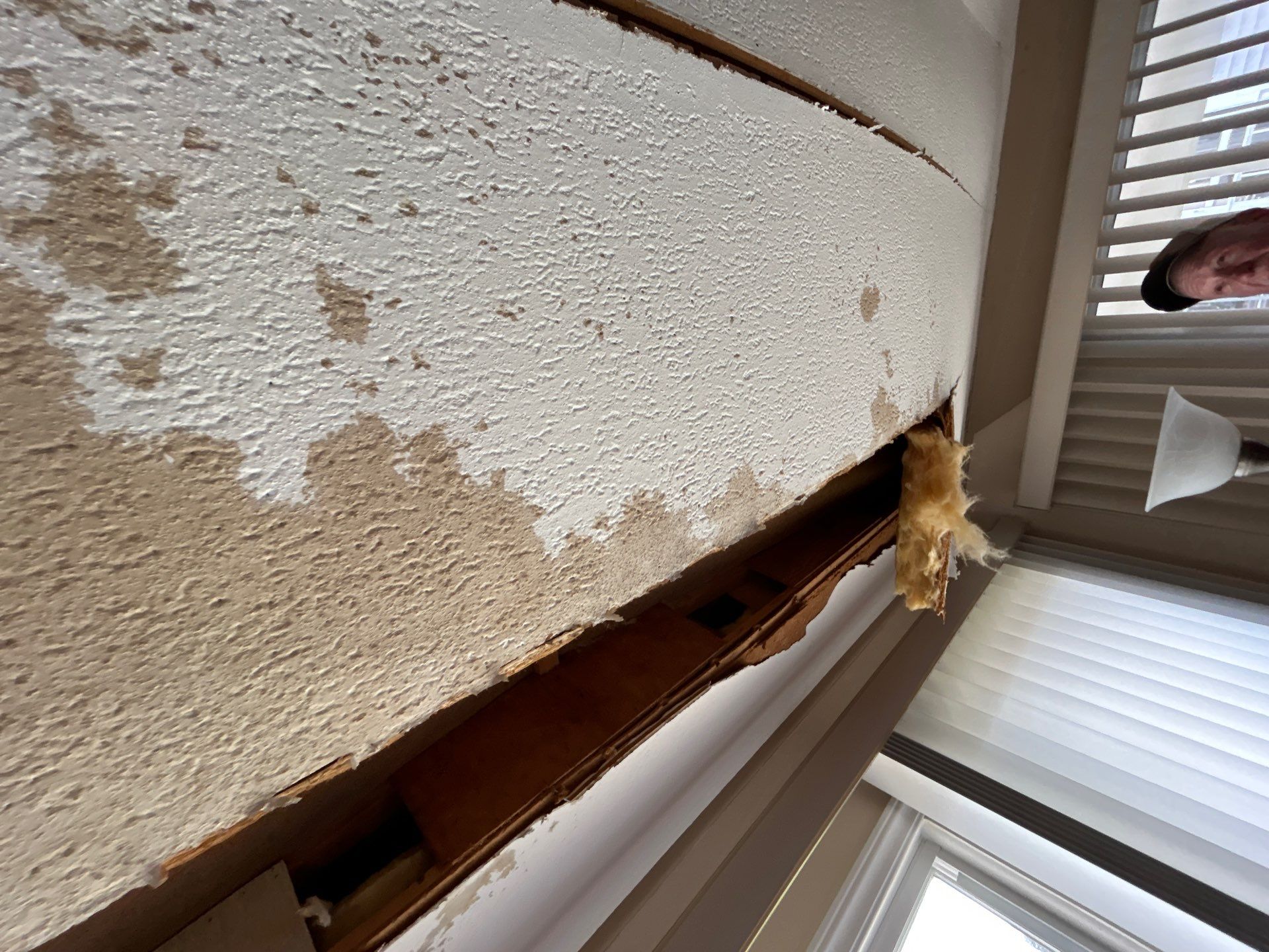 Mold Damage Inspection And Repair In Palmetto FL by Ampm Restoration Services