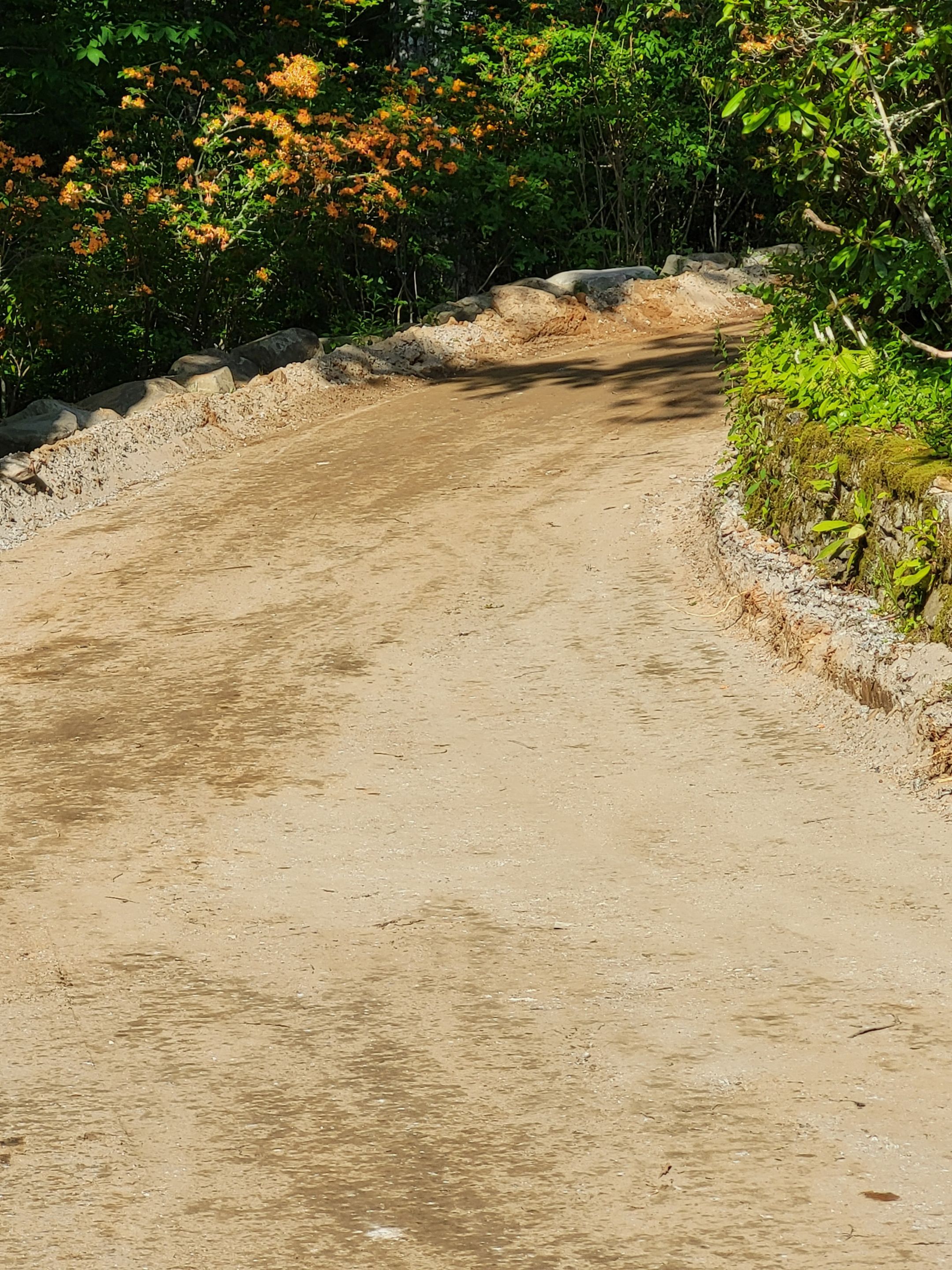 Custom Paver Driveway by B&B Landscaping