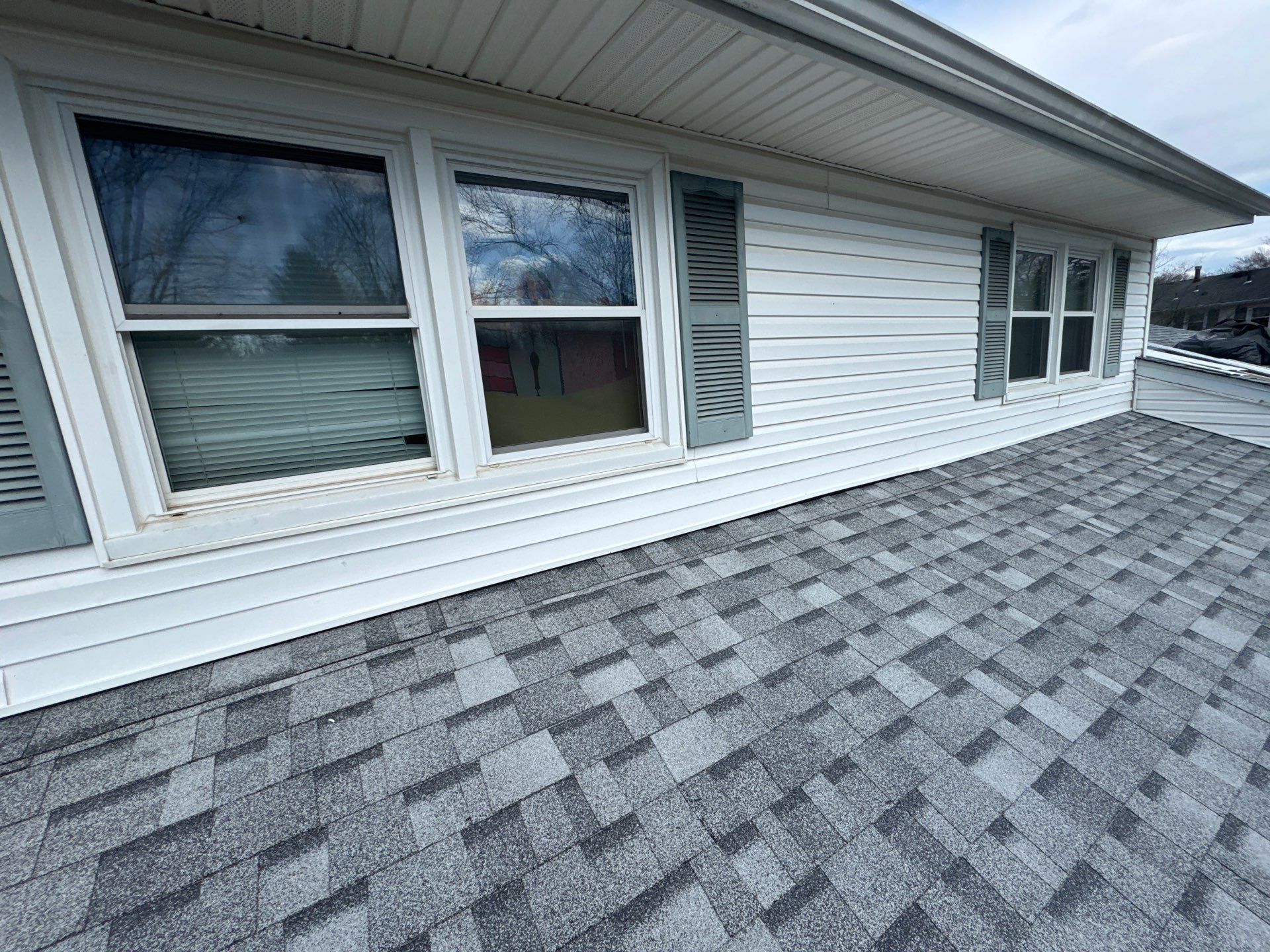 Silver Birch Shingles by Reimagine Roofing