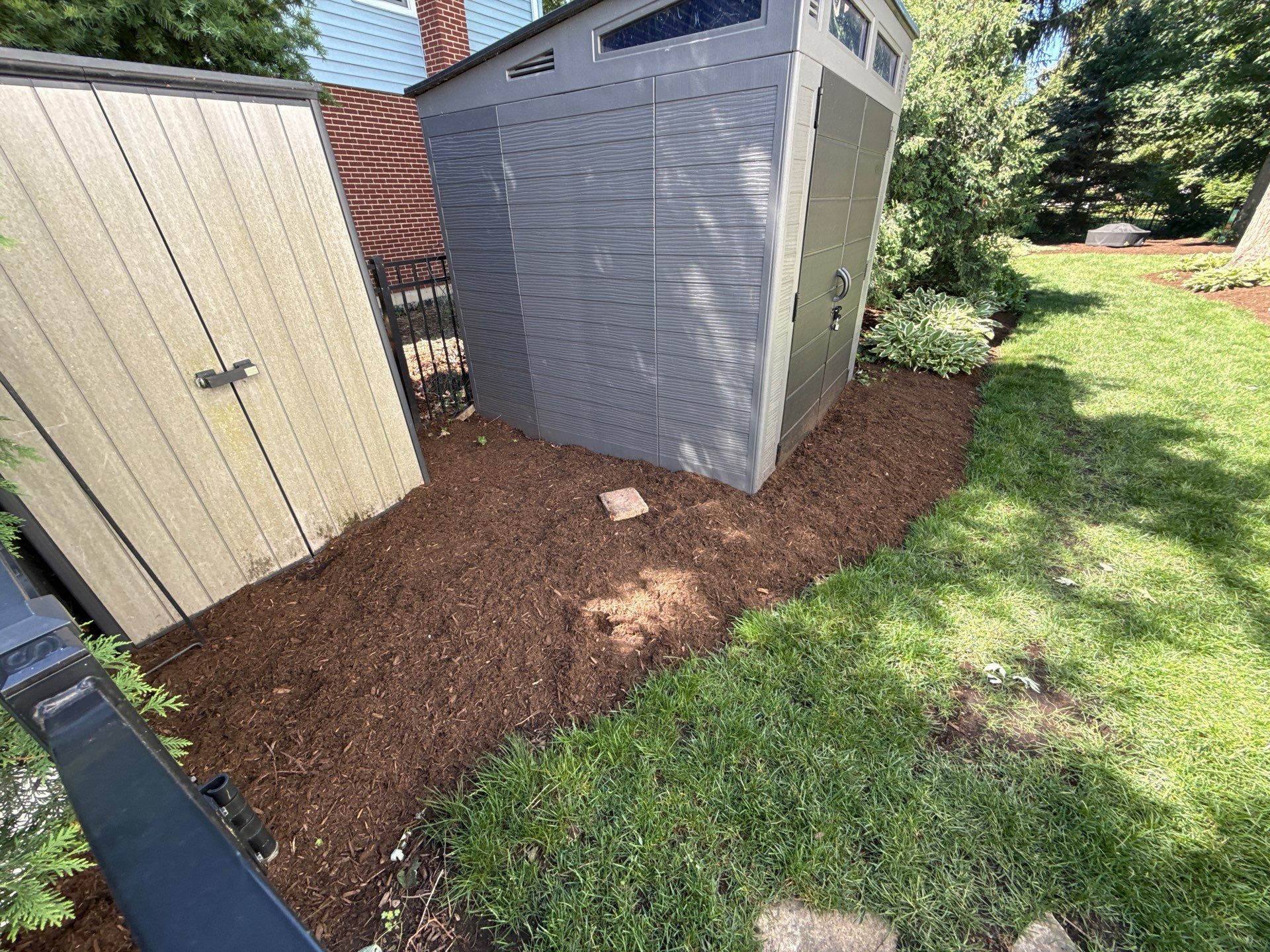 Lesley D. - Arlington Heights, IL by A&N 