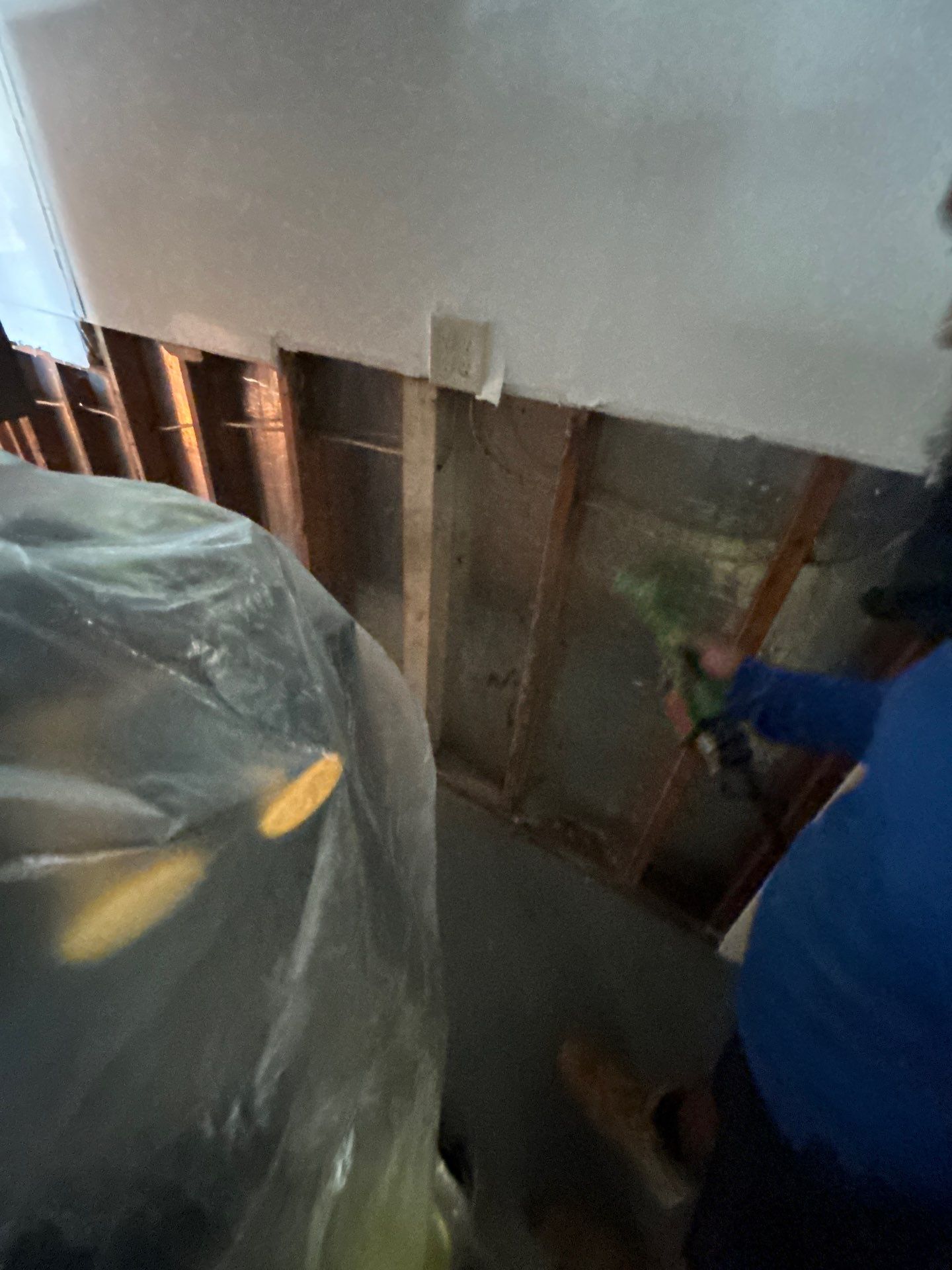 Mold Remediation + Reconstruction Bradenton by Ampm Restoration Services