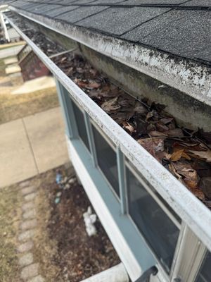 Turtle Shell gutter protection installation in Aurora, IL 60505, photograph 3