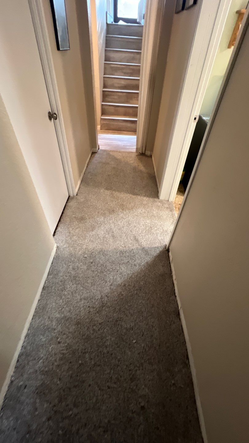 Water Damage and Mold Remediation by Accountable Home Services