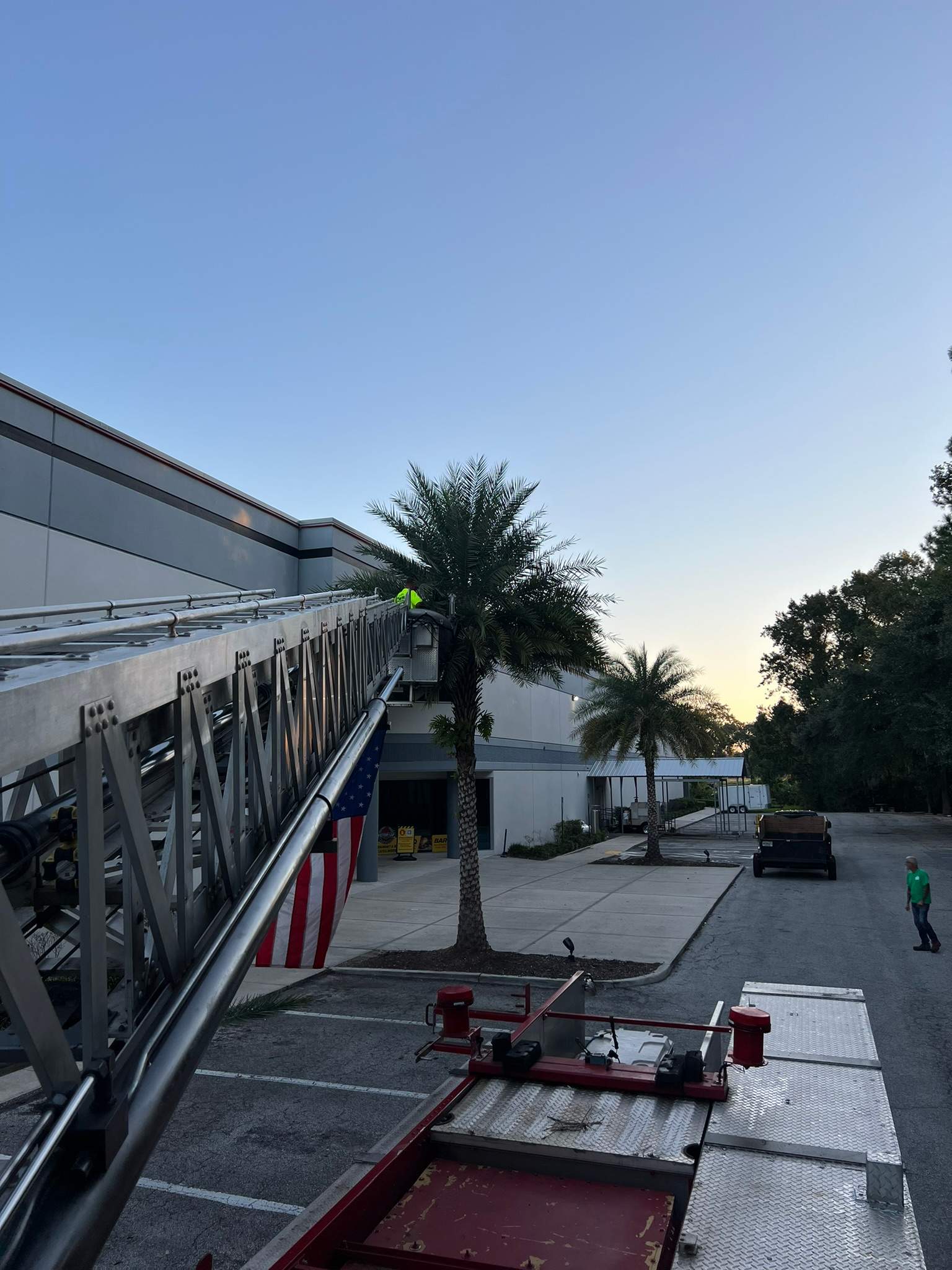 Tree Trimming | Autobahn Raceway by ProGreen Services