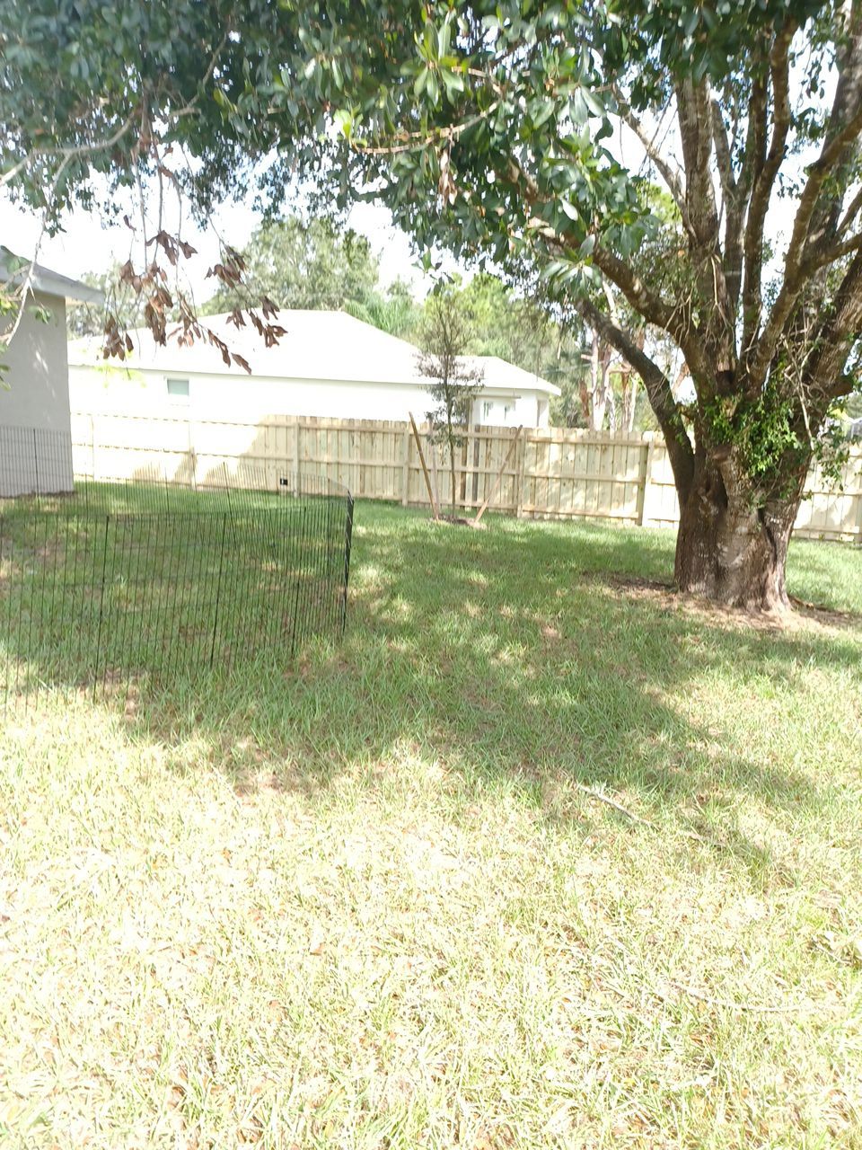 Port Charlotte, Florida 6 ft. Tall Board on Board Privacy Fence  by Asap fence and gates, LLC