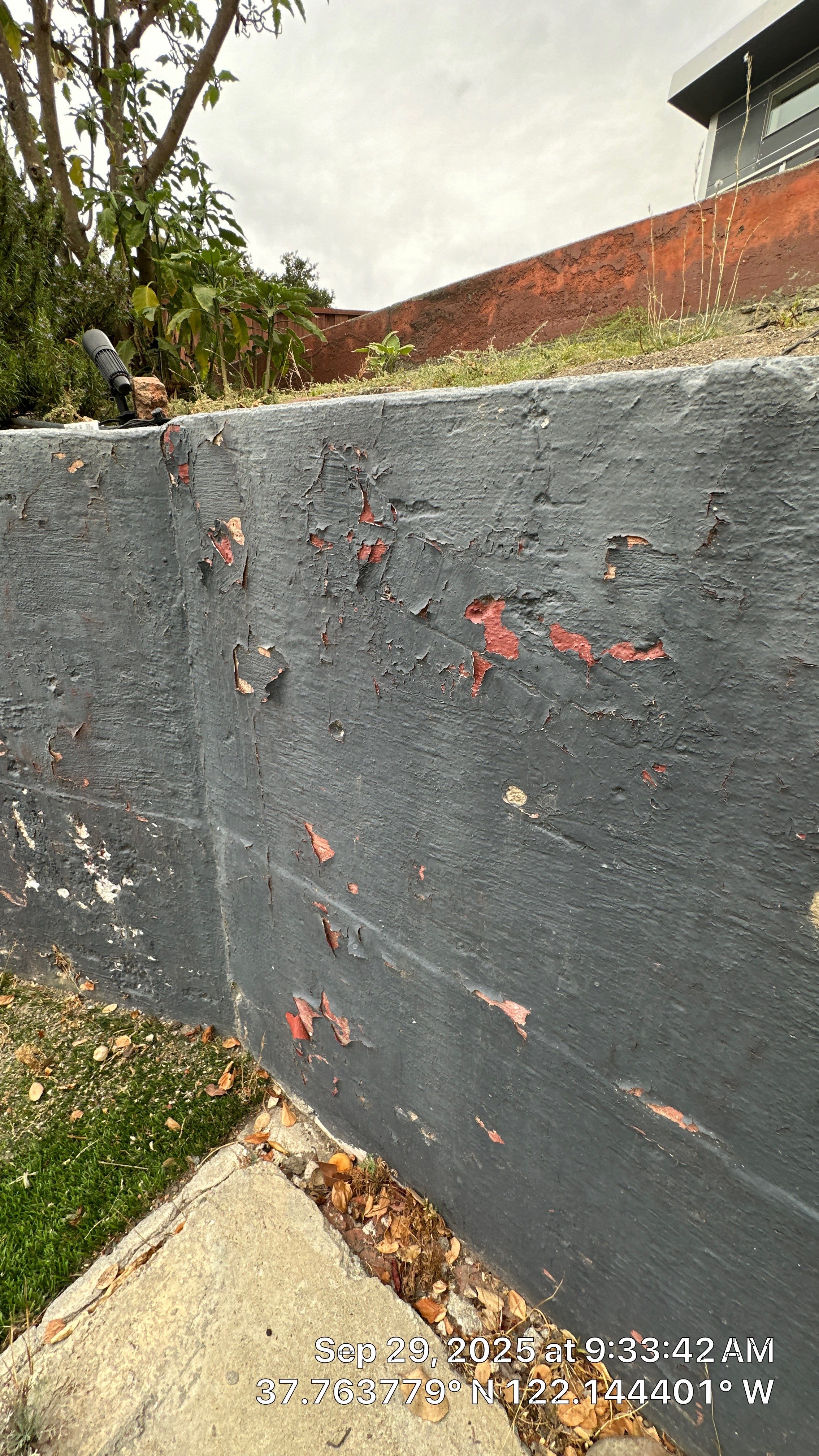 modern painting Exterior modern painting by Herrera’s Bay Area Painting inc.
