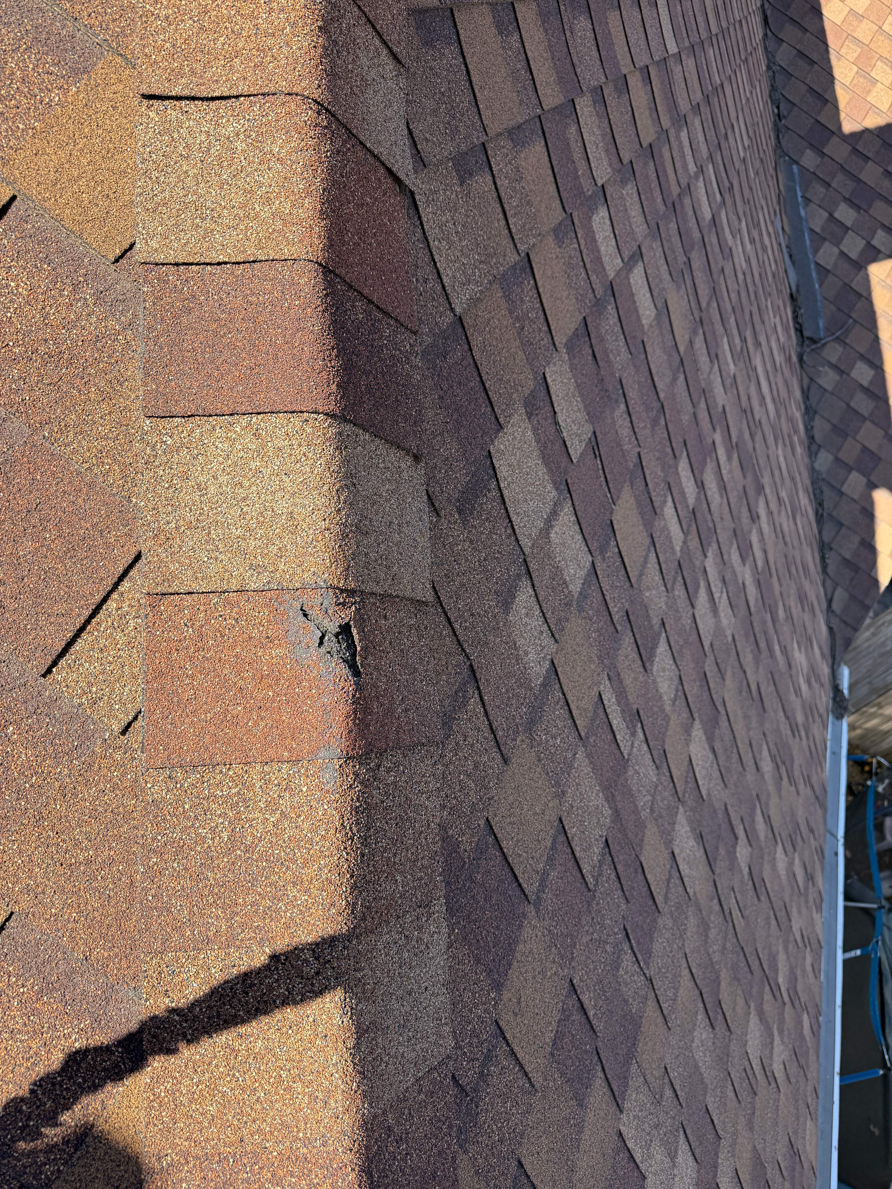 Full Architectural Shingle Roof Replacement on Norfolk Residence by Star Home