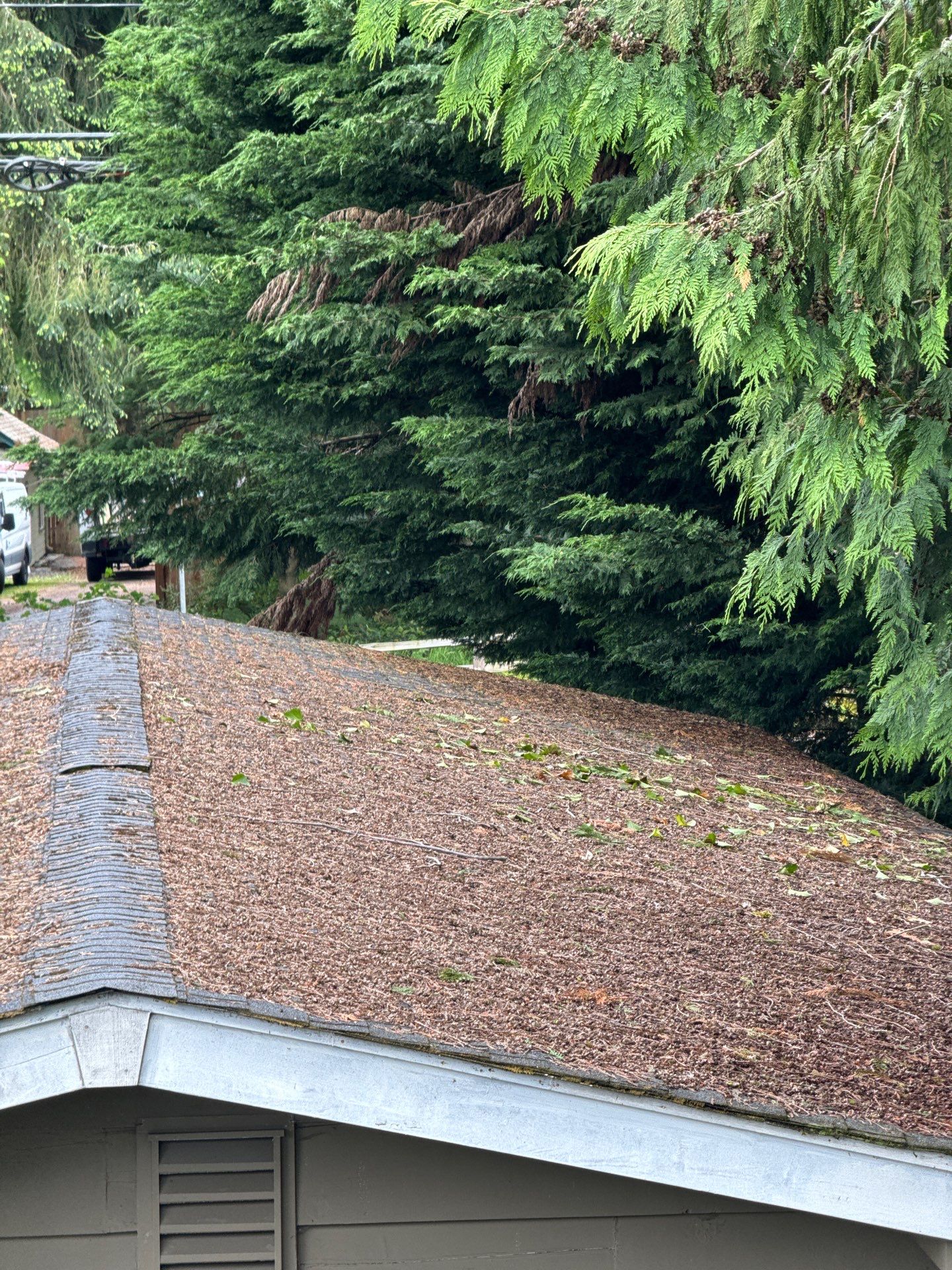 Project in Everett by Peaks and Valleys Construction
