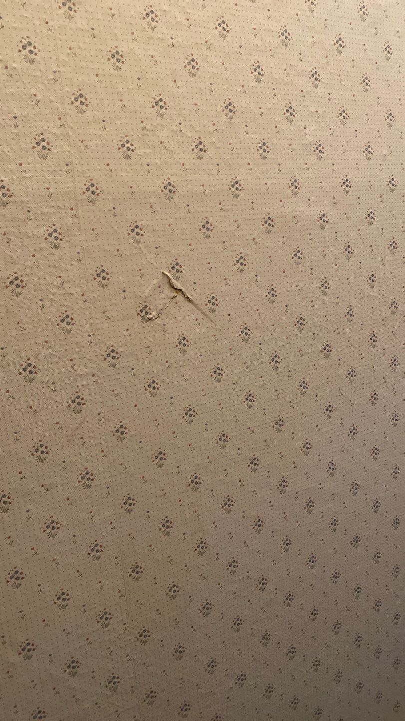 Water Damage  by Accountable Home Services