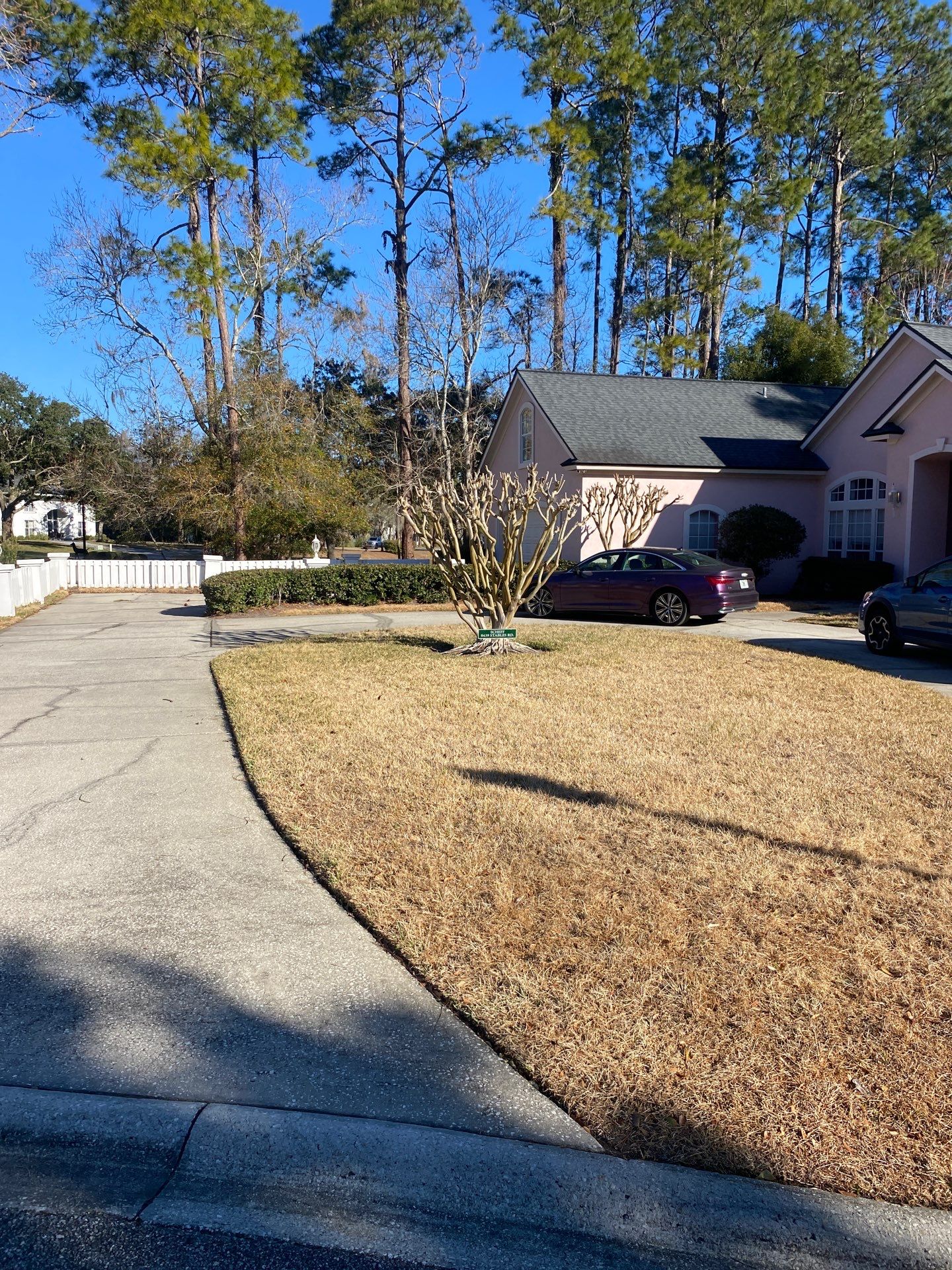 Deerwood Resident | Tree Removal & Clean-Up by ProGreen Services