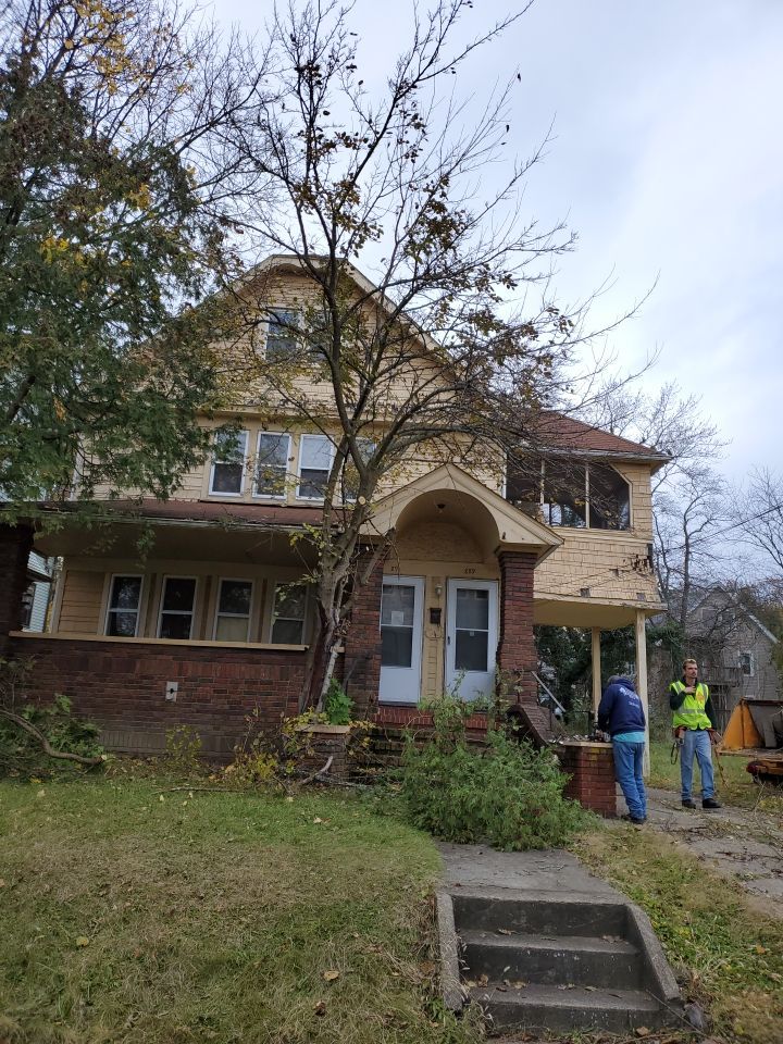 Tree Removal using Tree Removal by Mike Jones & Sons Tree Service LLC 