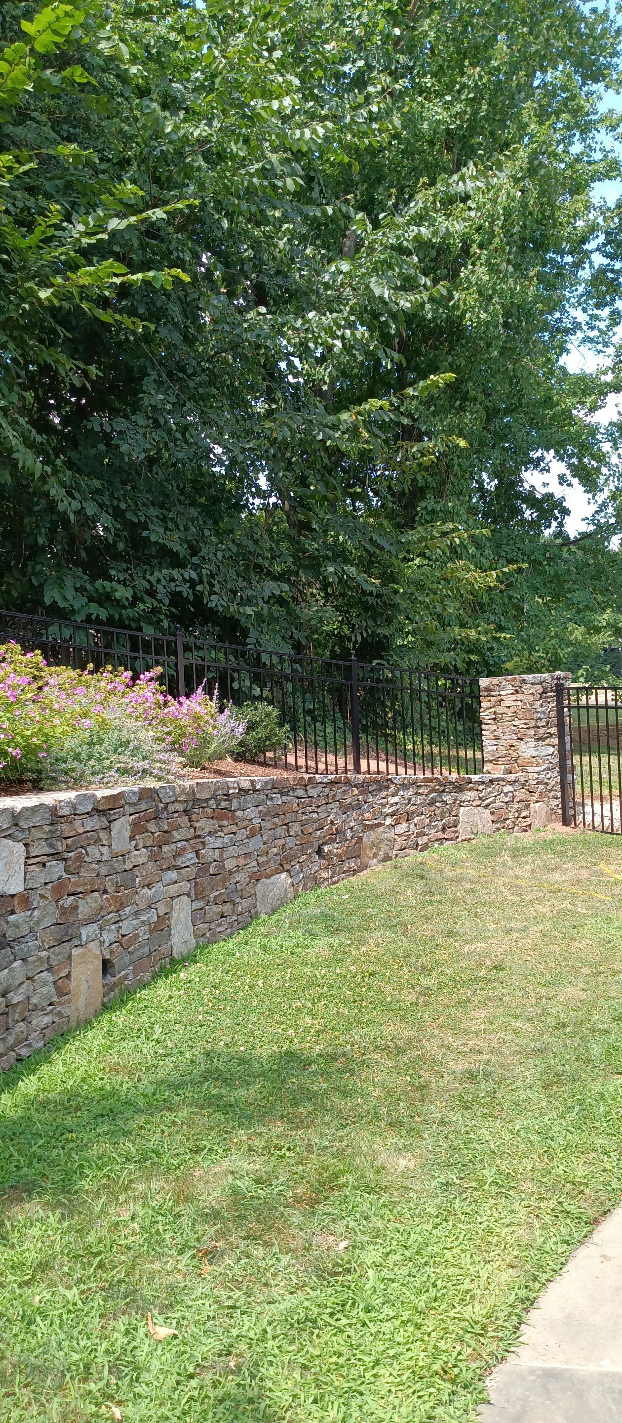 New Black Aluminum fence with matching gates by DiGiorgi Roofing and Siding Inc