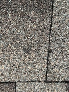Roof Replacement by EL-GC LLC 