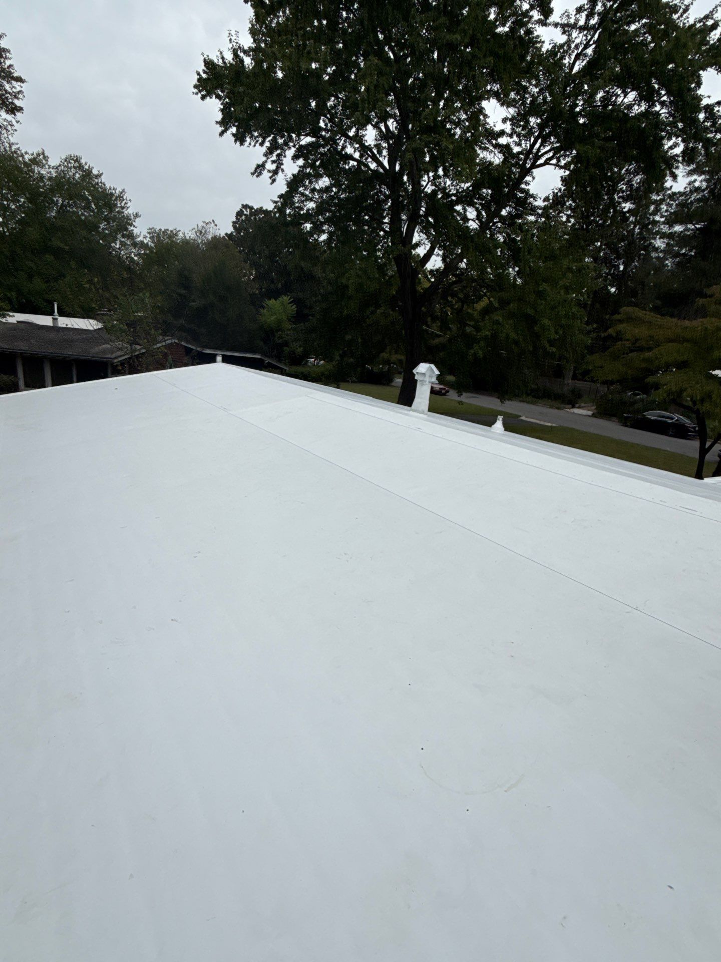 Falls Church :  TPO by RM Banning, Inc.