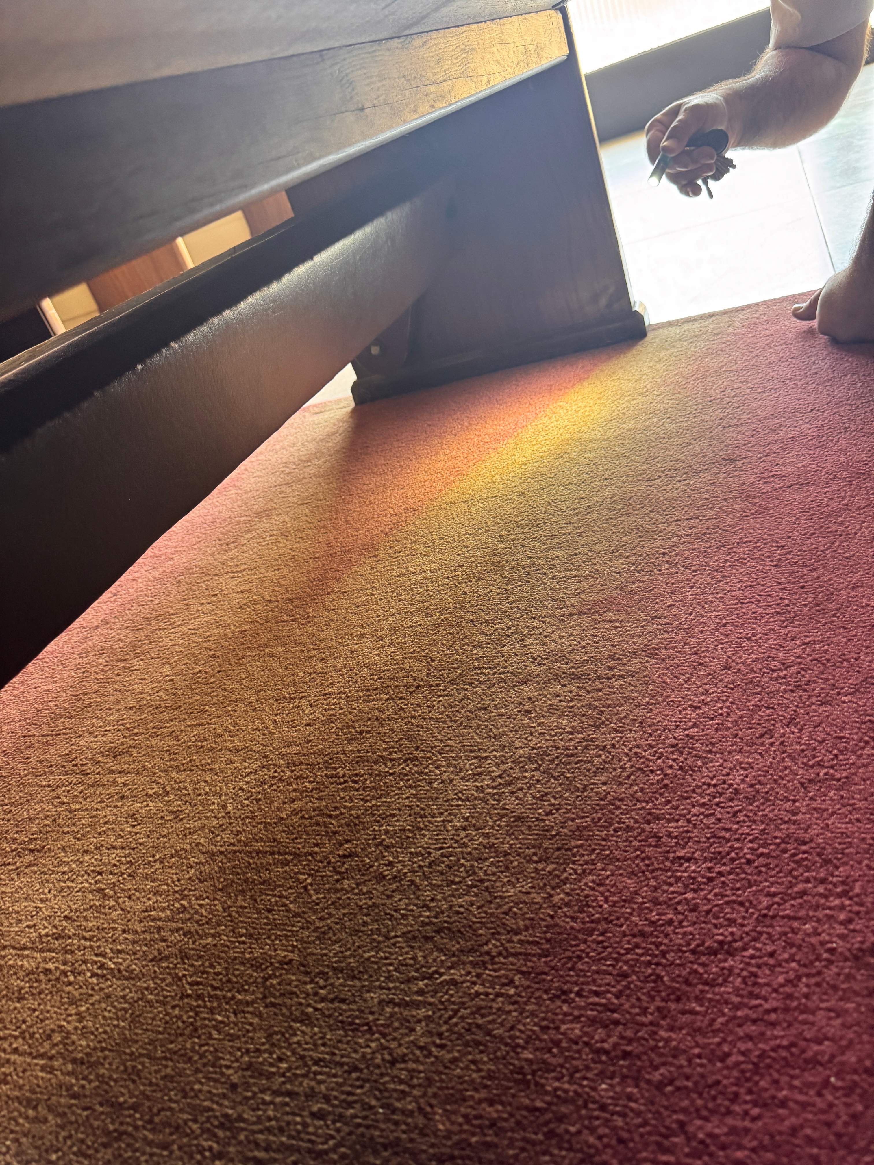 Moser Carpet Repairs featured photo.