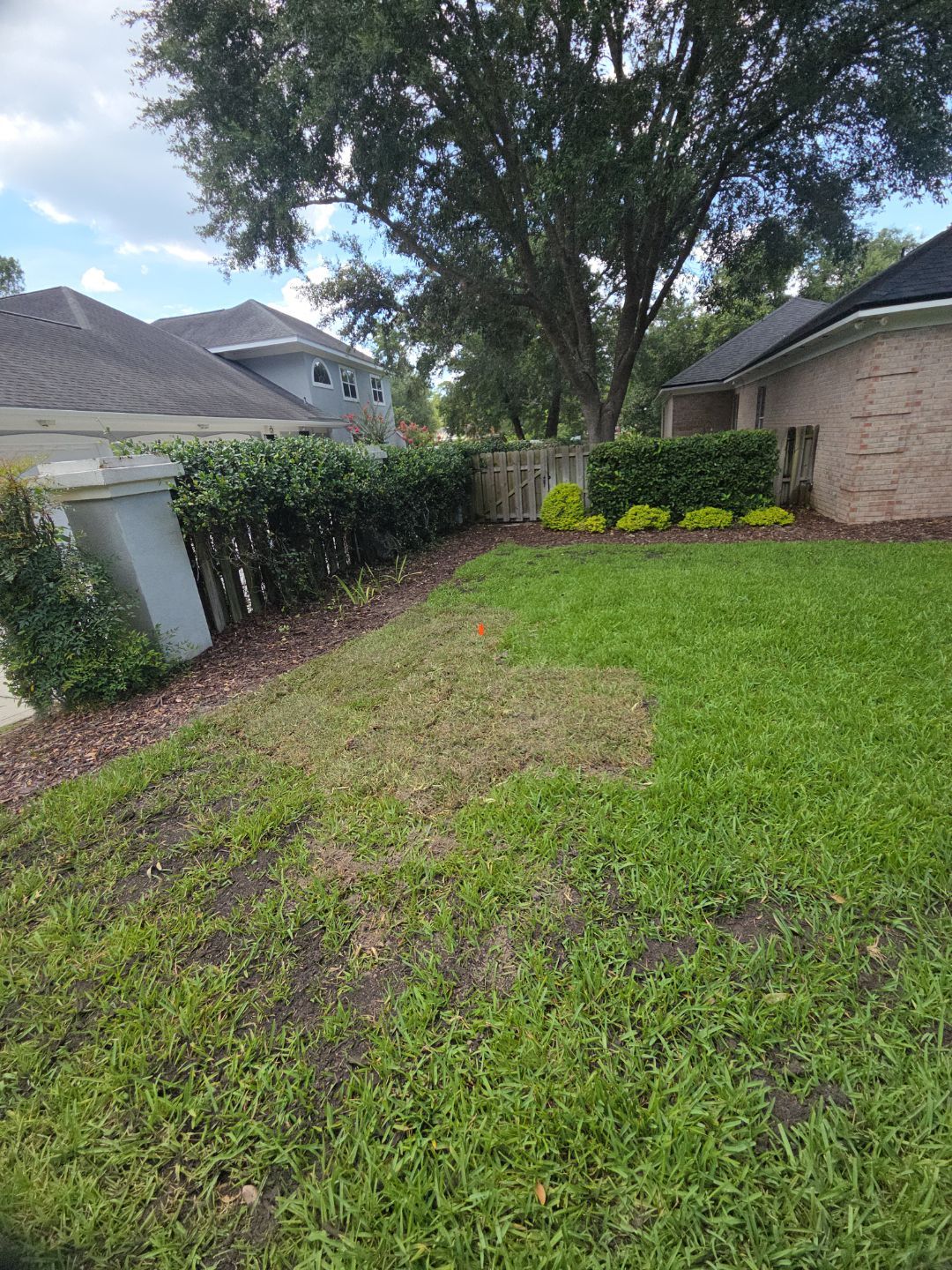 Deerwood Resident | Sod Installation by ProGreen Services