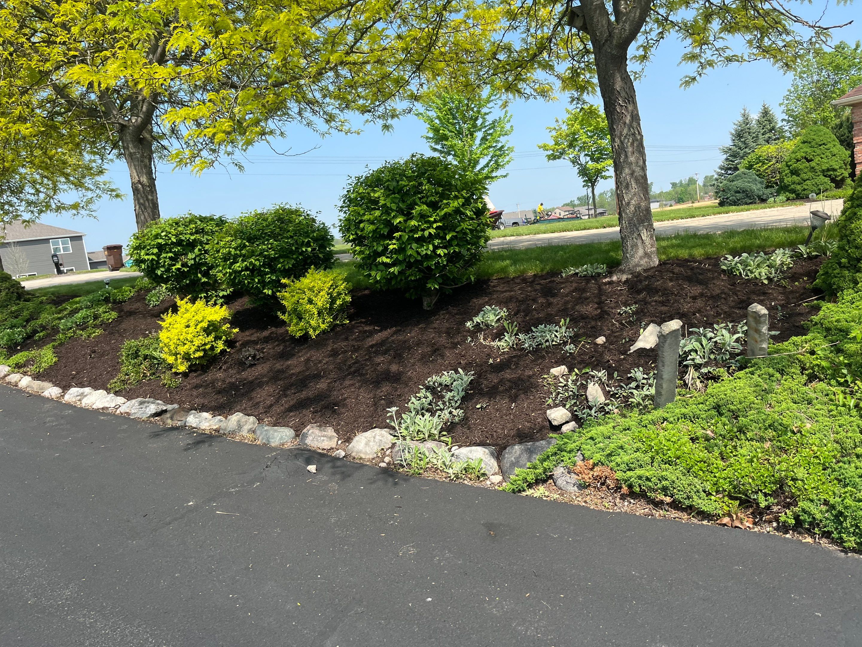 Overgrowth Takeover by Carrs lawn and landscape