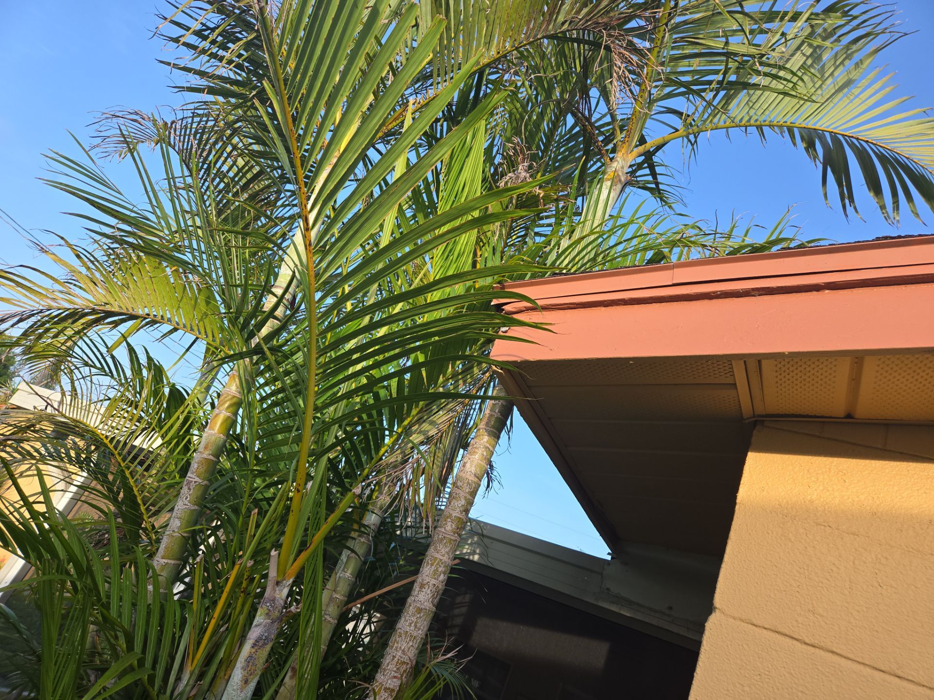Project in St. Petersburg 33702 by Mitchell Roofing Company LLC 