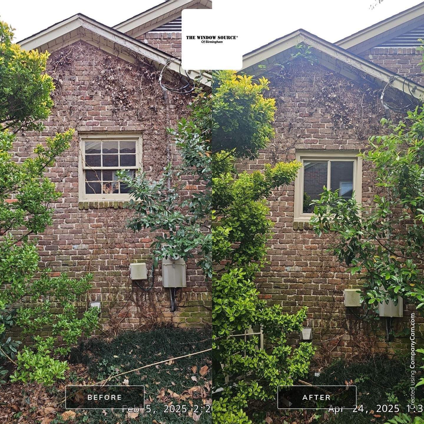 Crawford Project in Birmingham by The Window Source