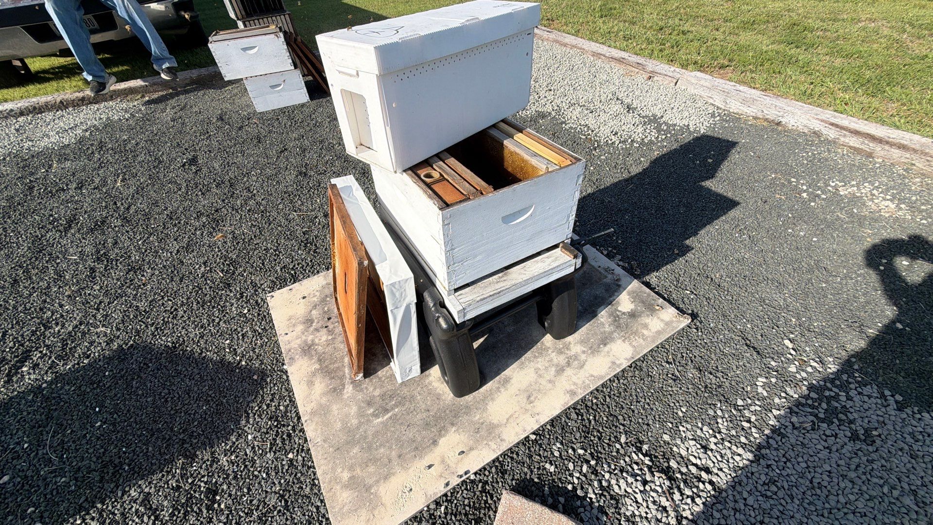 Momma K’s apiary by Rockwall Honey Bee Company
