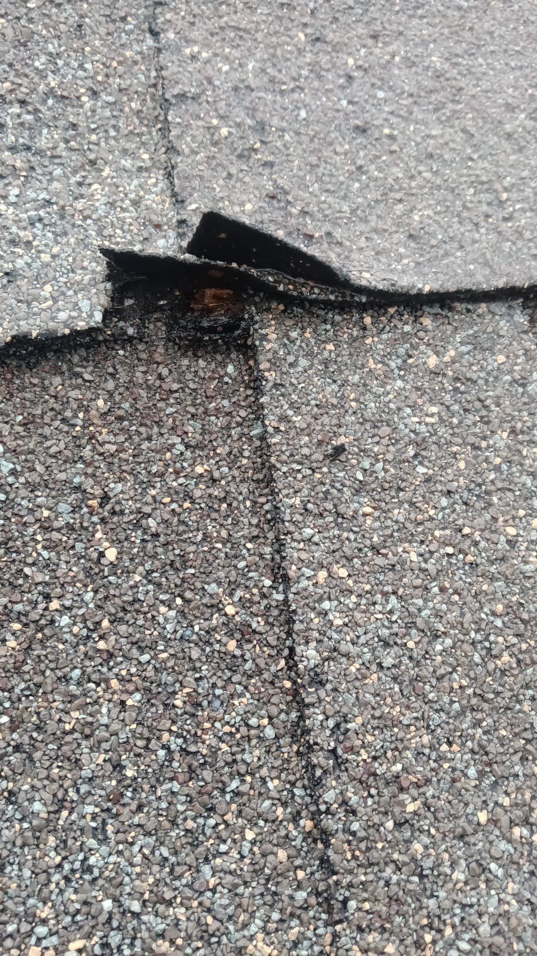 Hail Damage using Owen's Corning Duration (Lifetime) Shingles by Roof Repair Company