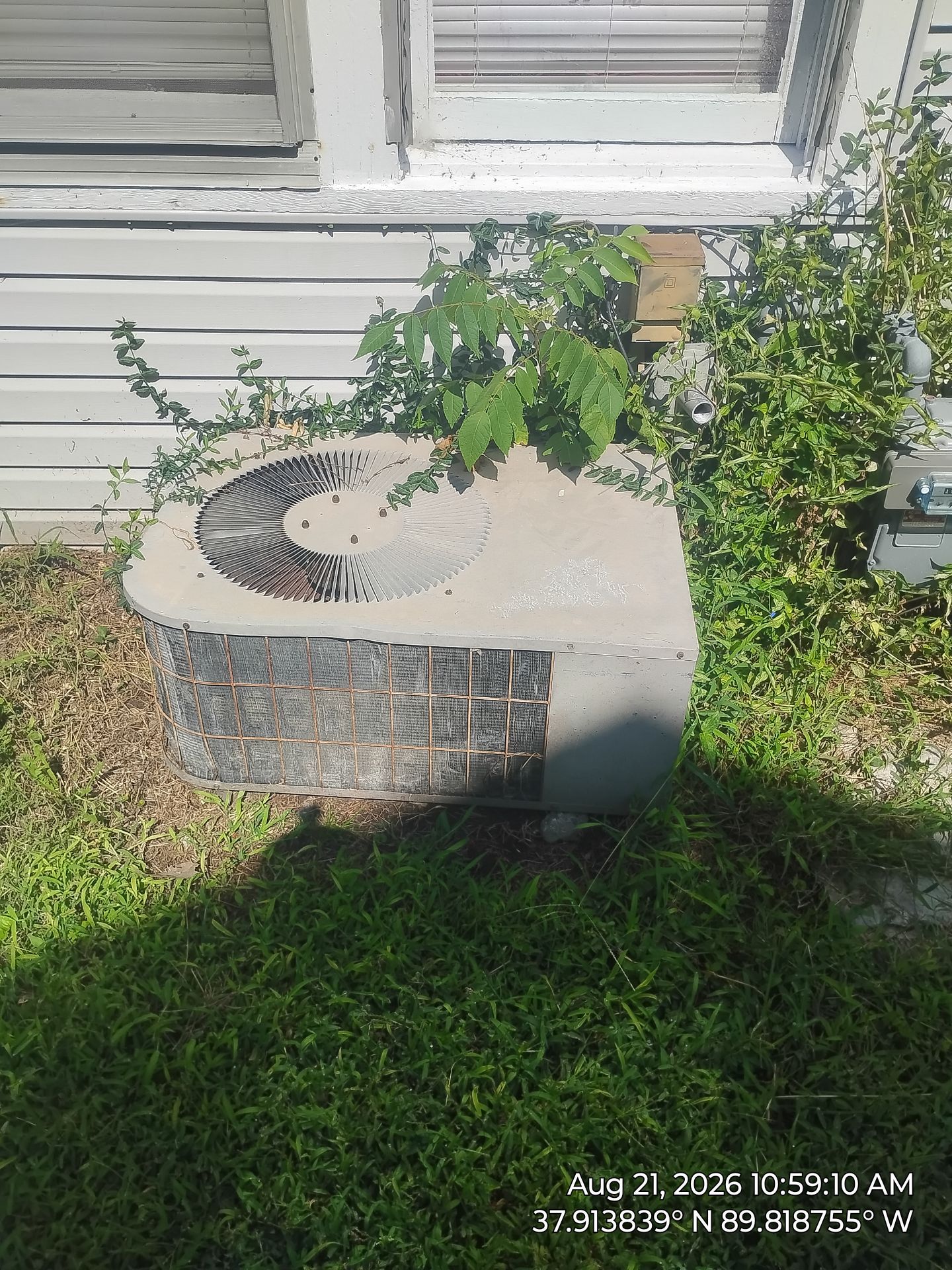 Project in Chester, IL by Wilson And Son