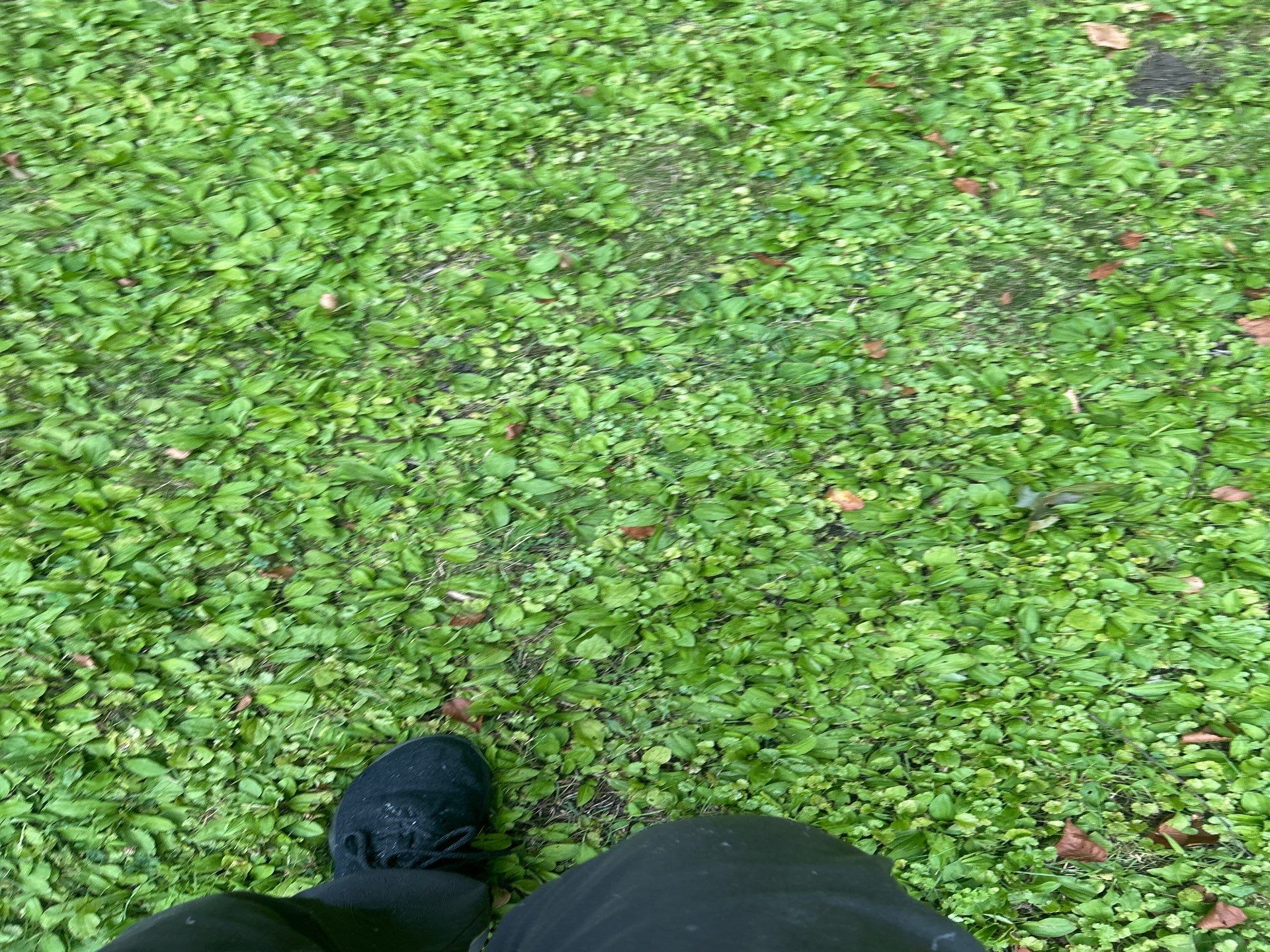 Everlast Composite installed in Acton, MA by UBrothers Construction